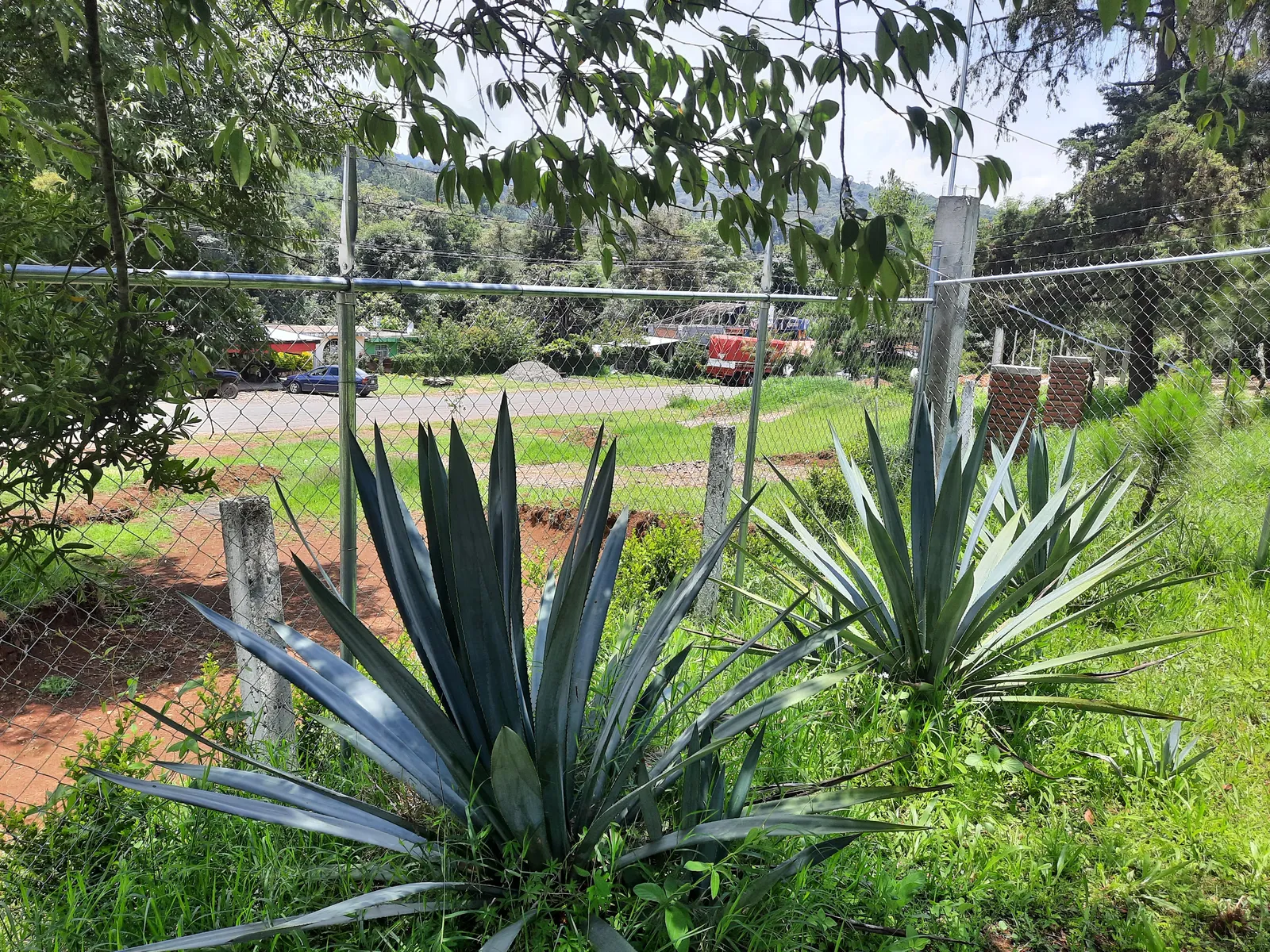 La cabaña del Abuelo image 9