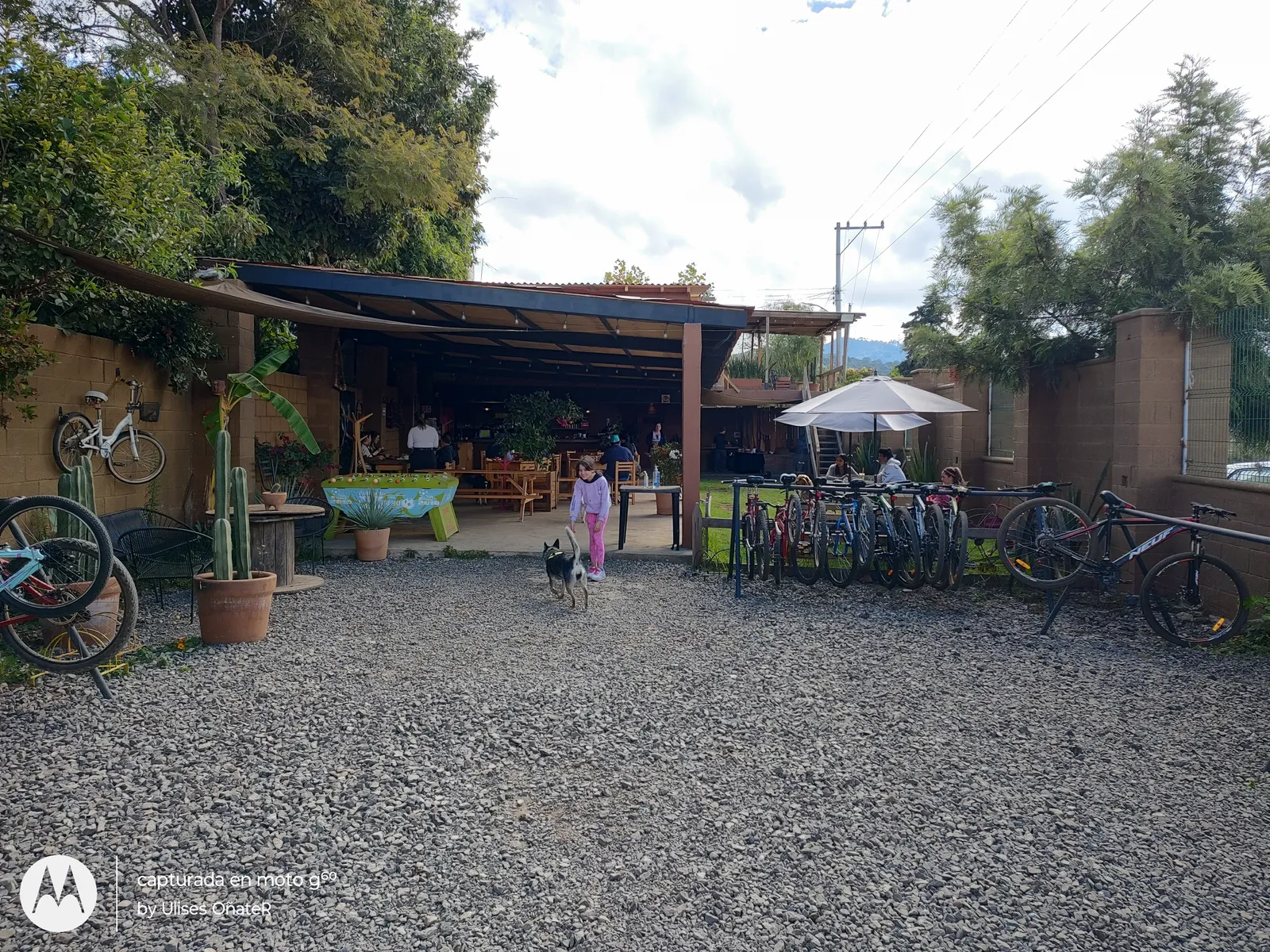 Restaurante "El Laguito" image 7