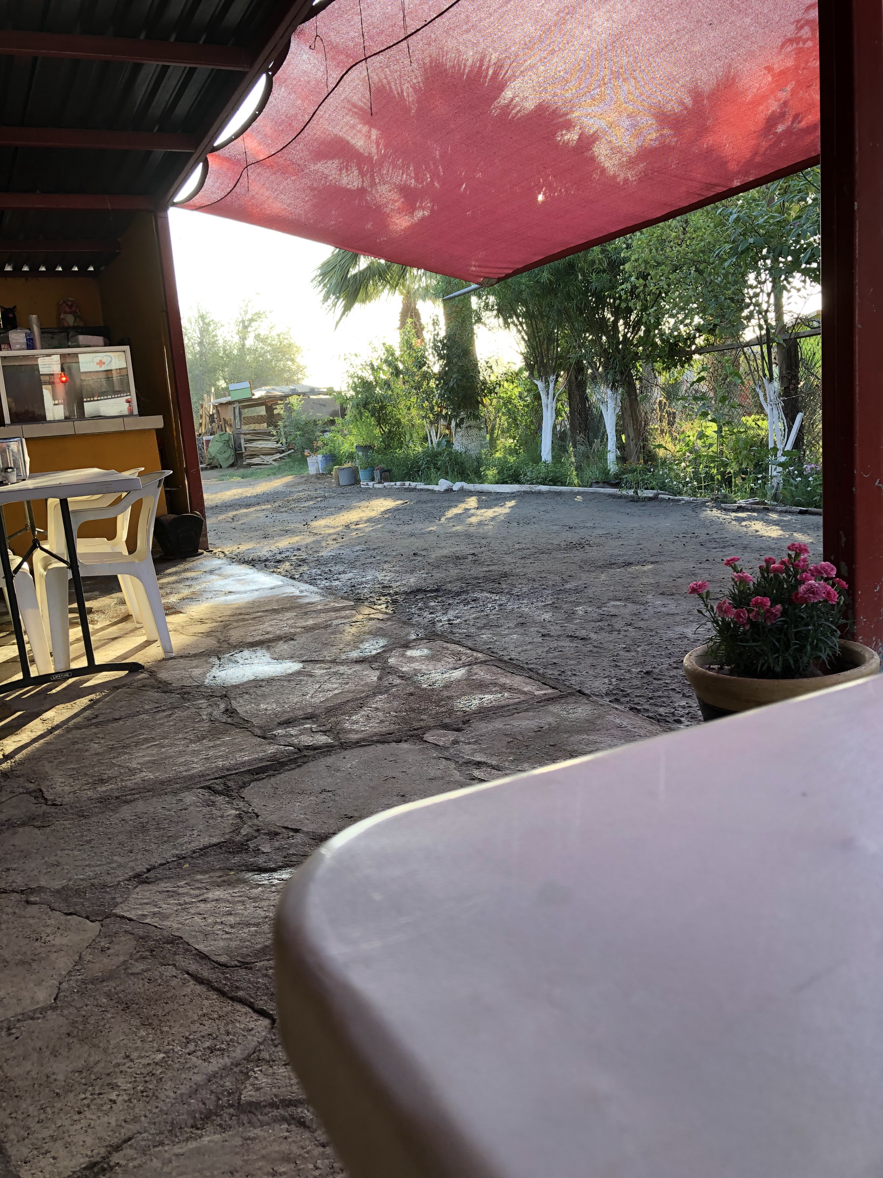 Carnitas Patiño image 6