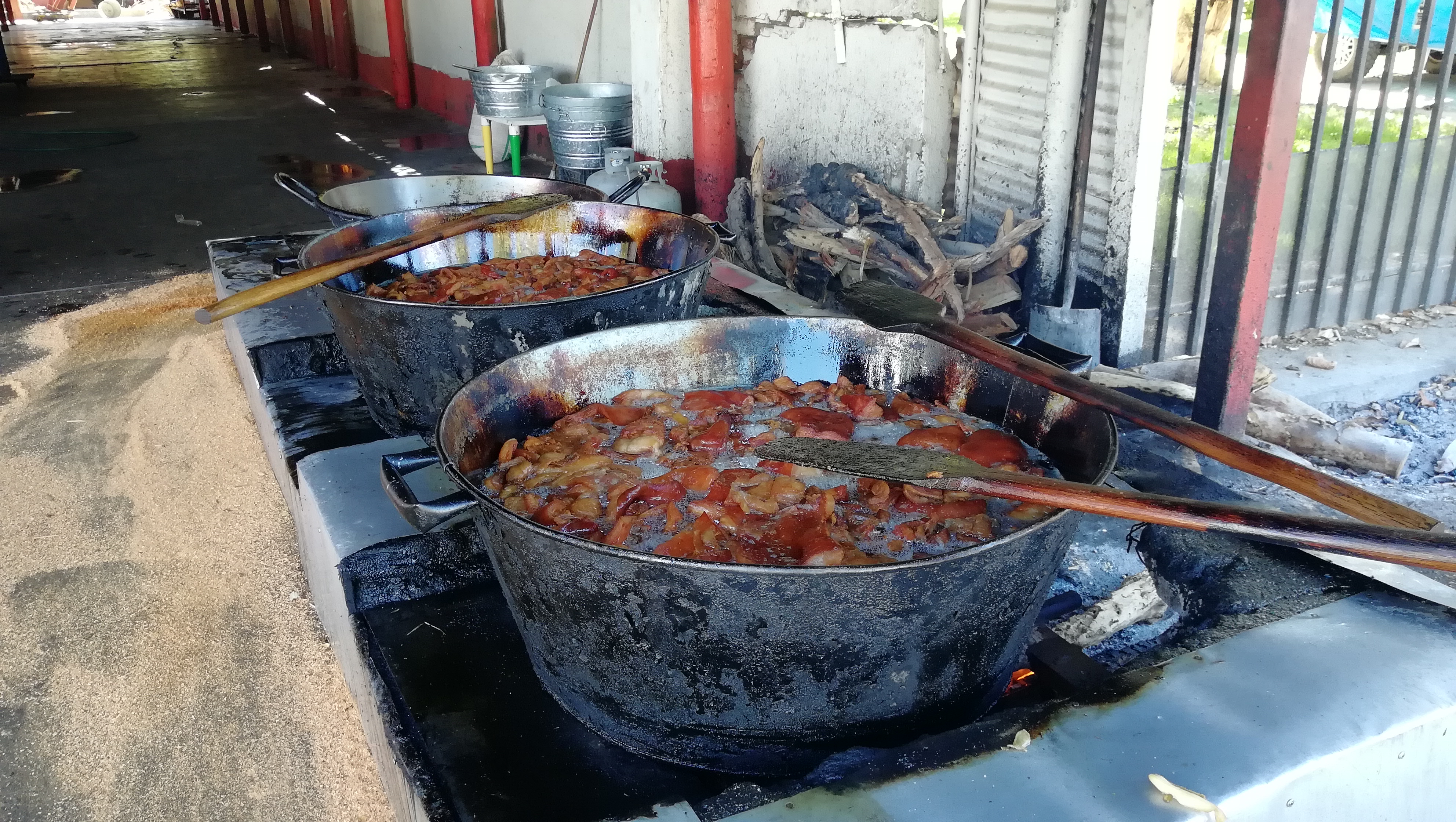 CARNITAS JC ALVARADO image 9