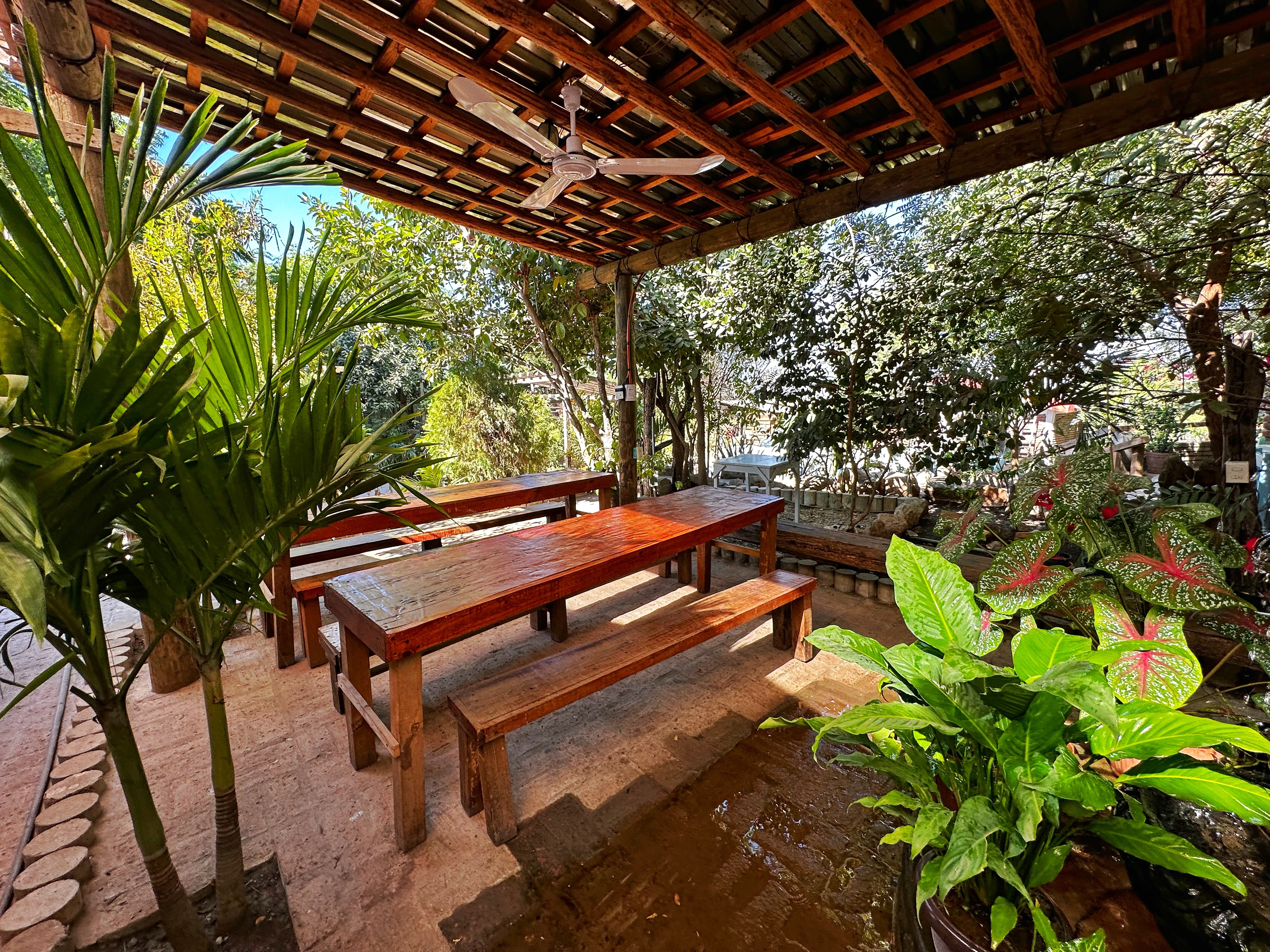 Restaurante mamá chana image 5