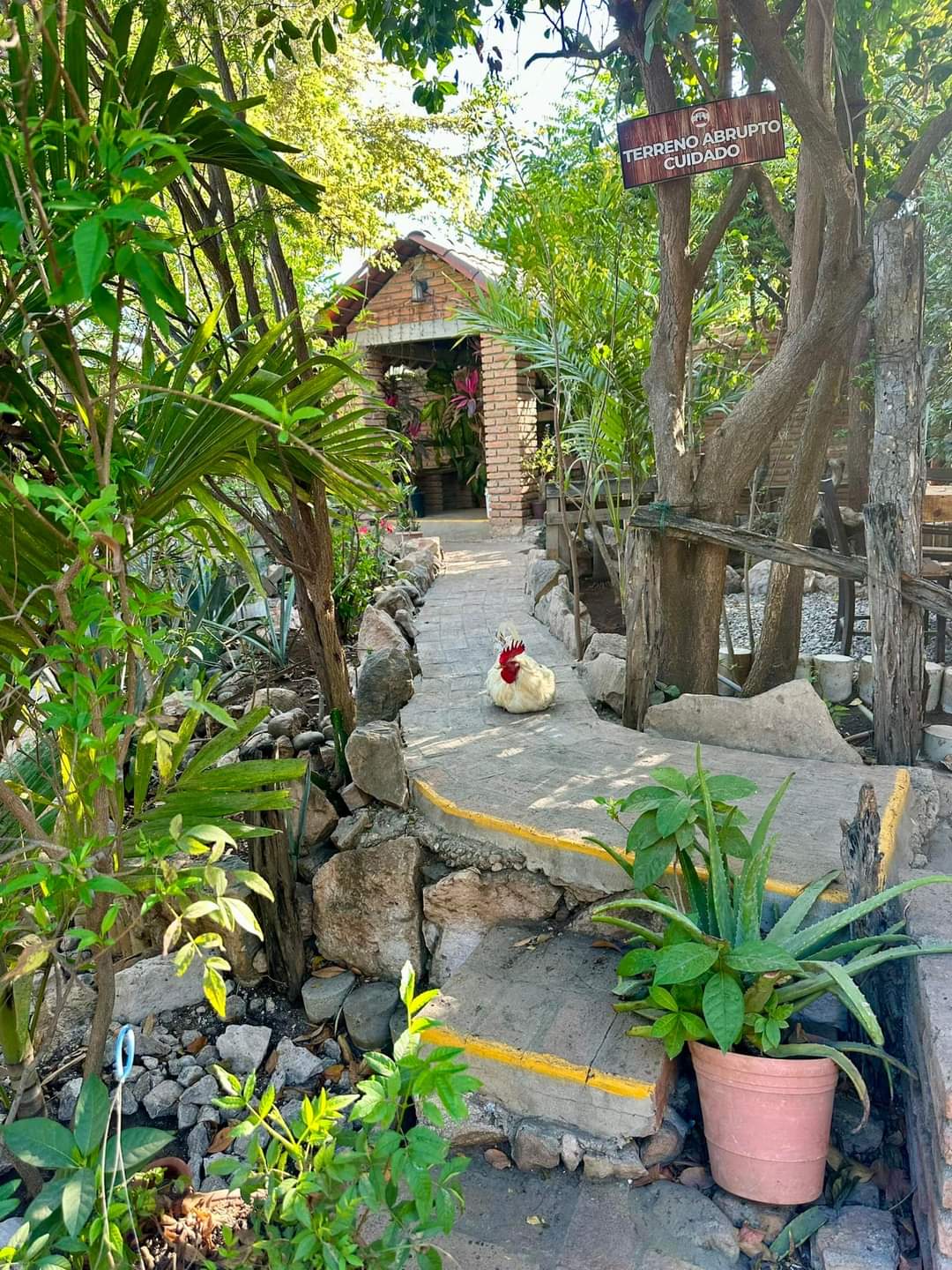 Restaurante mamá chana image 6