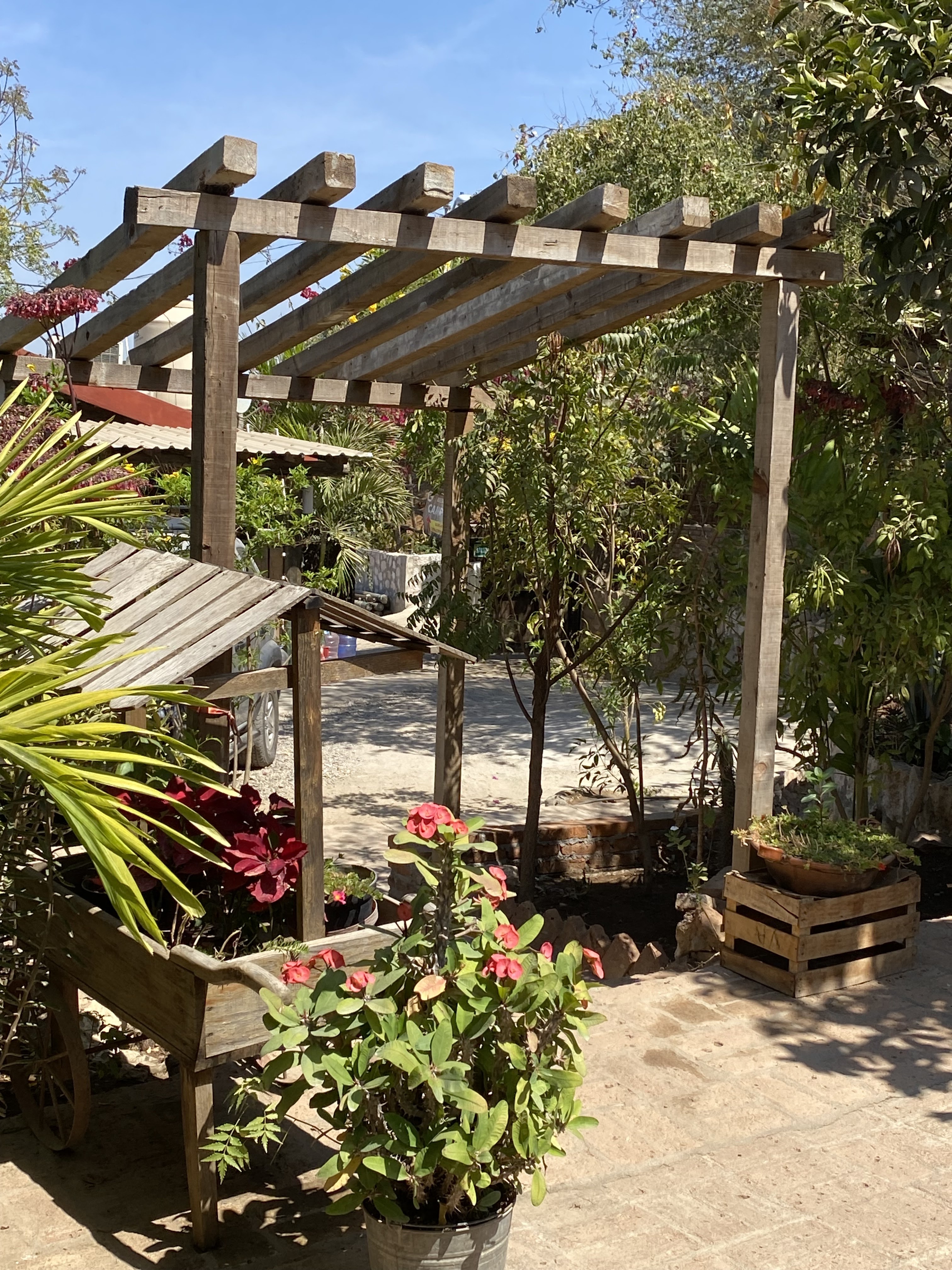 Restaurante mamá chana image 9