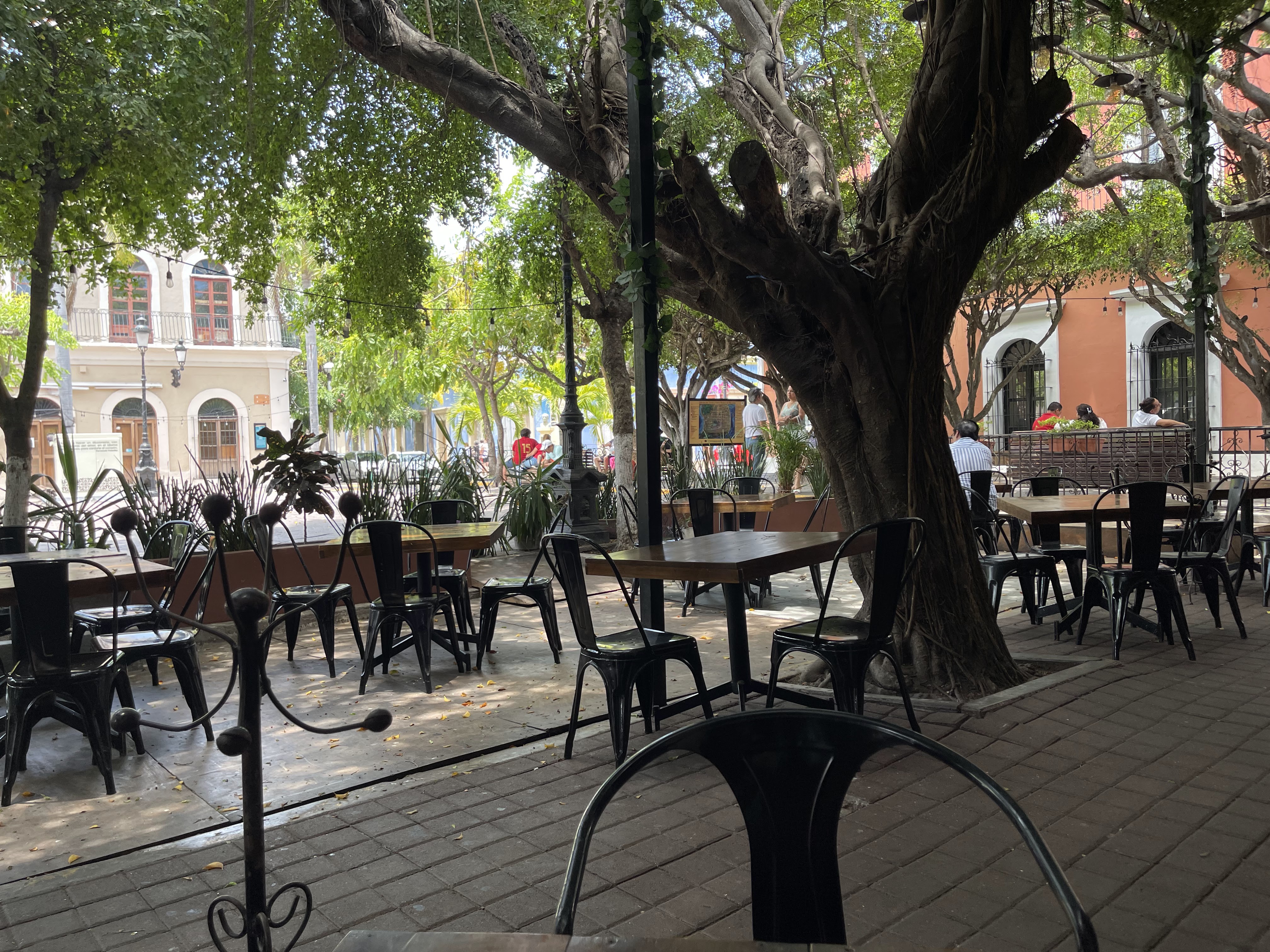 El Cielo Restaurant Bar image 4