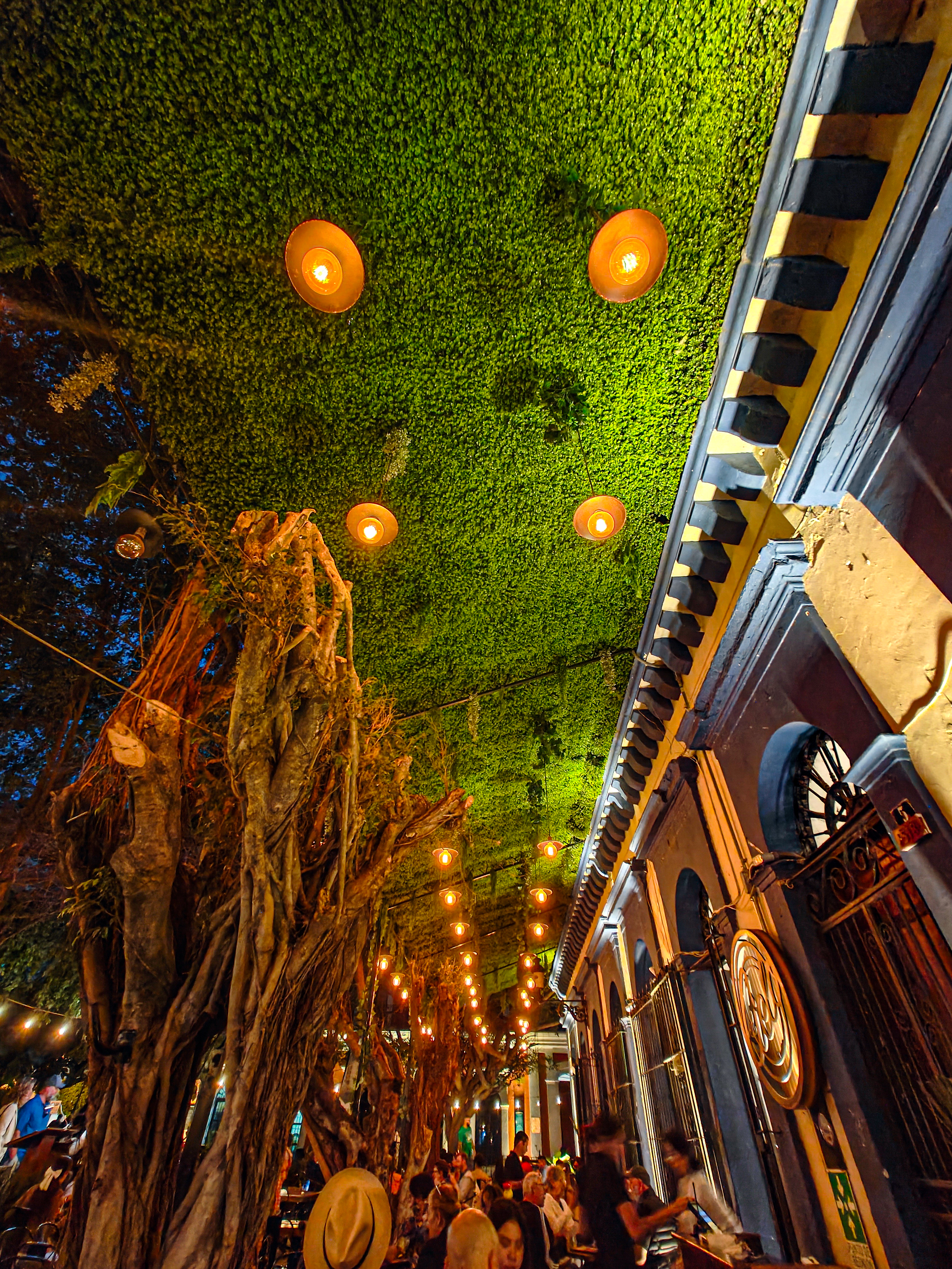 El Cielo Restaurant Bar image 5