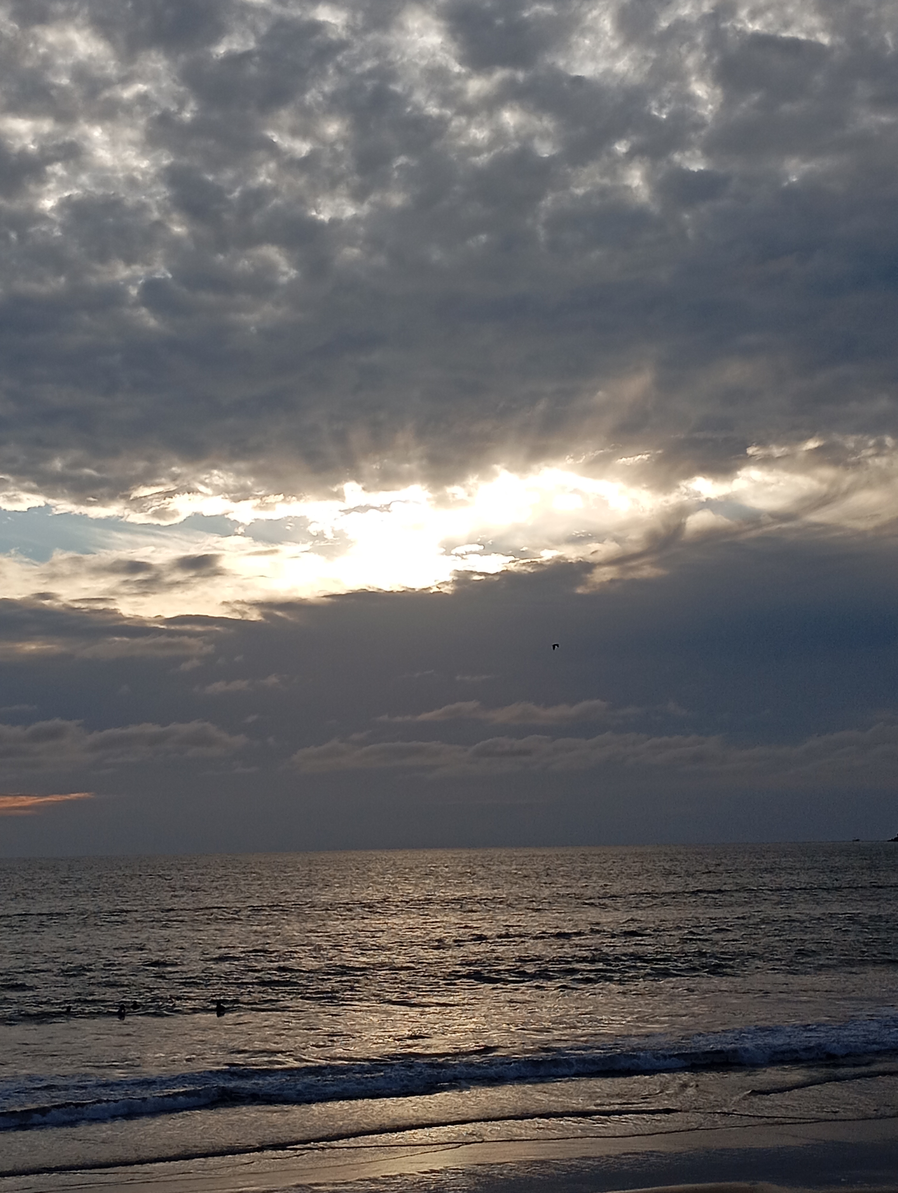 Restaurant Bar Del Pacífico image 8