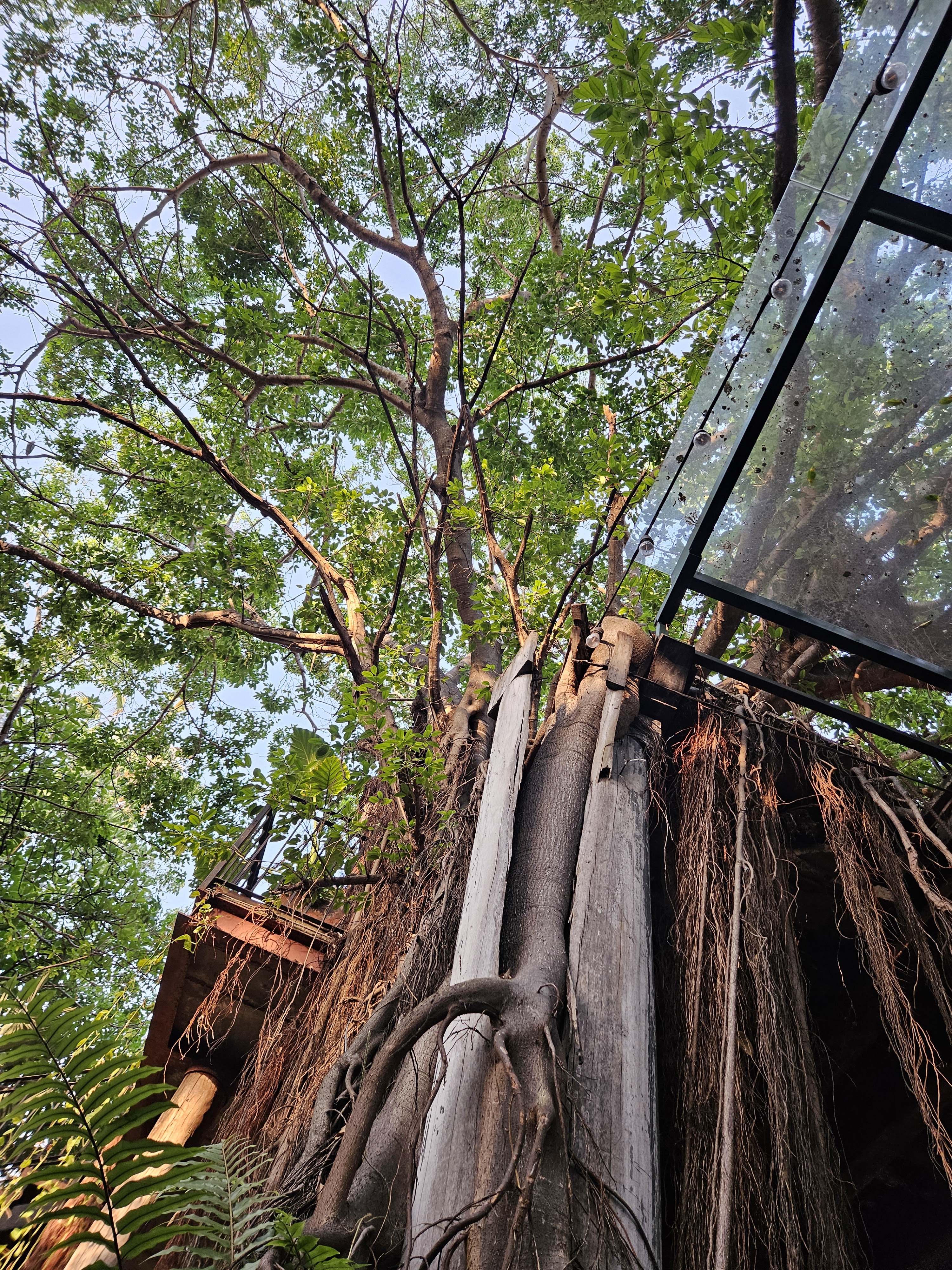 El Presidio Cocina de México image 8