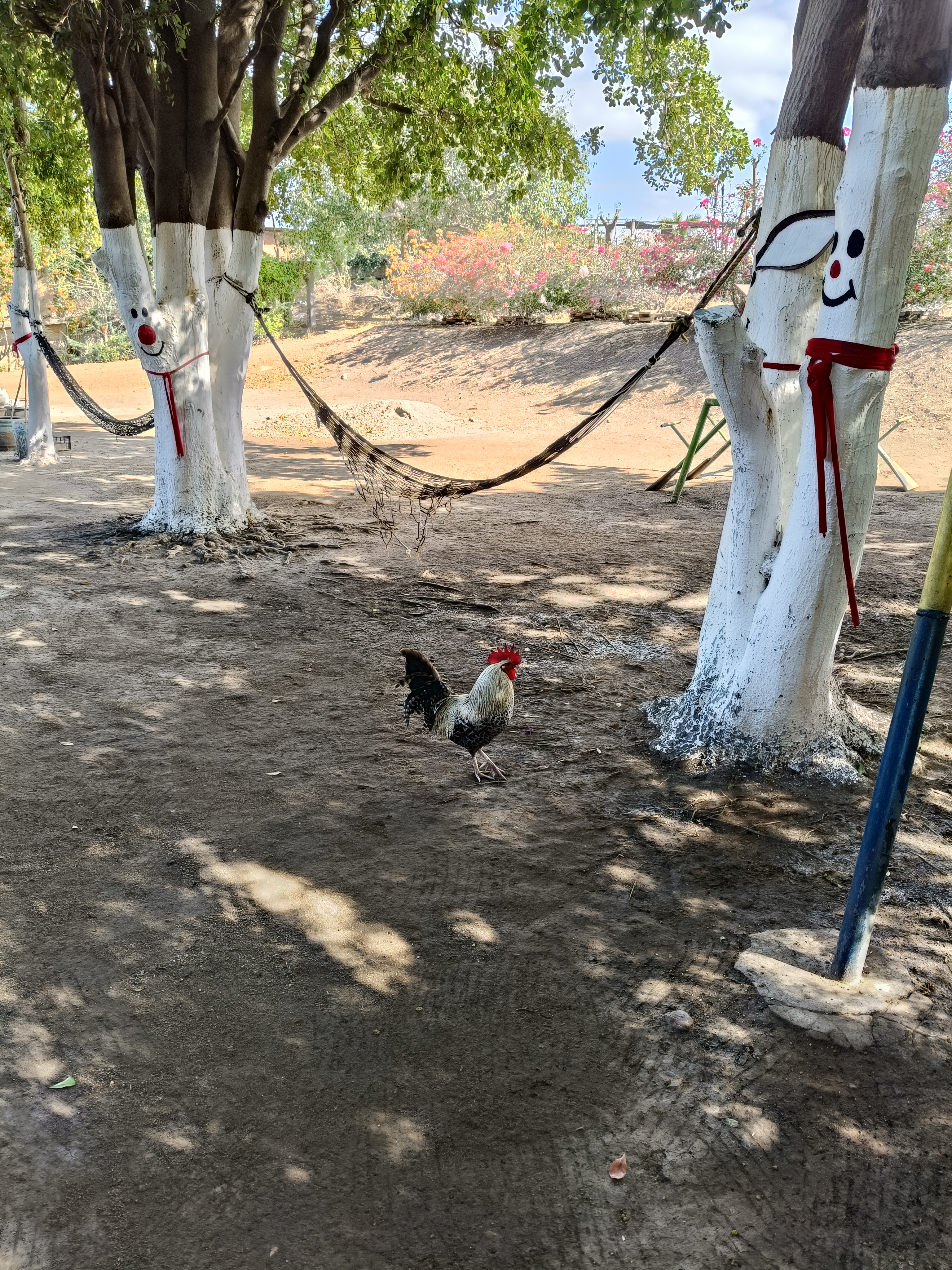 Restaurant Campestre La Granja Grill image 10