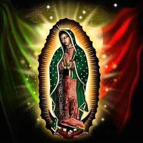 Taqueria El Mono y Los Monitos image 5