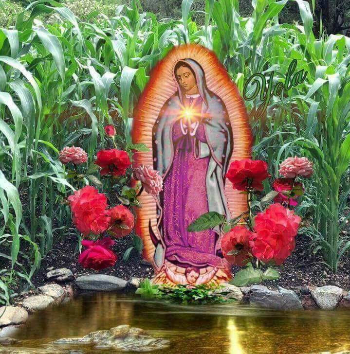 Taqueria El Mono y Los Monitos image 6