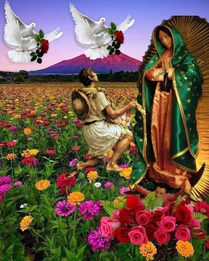 Taqueria El Mono y Los Monitos image 8