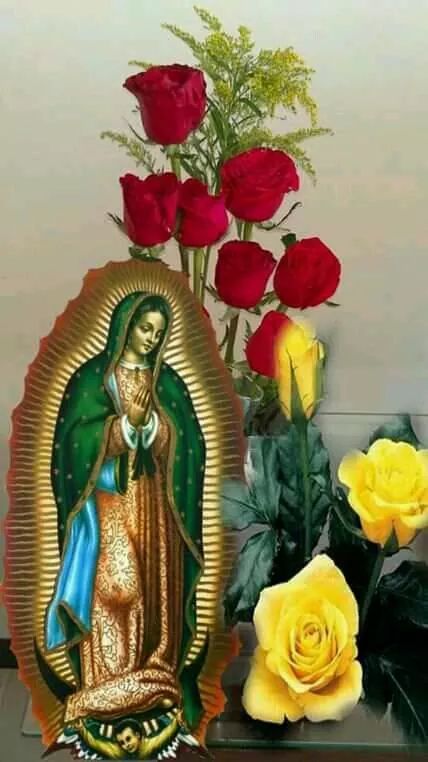 Taqueria El Mono y Los Monitos image 10