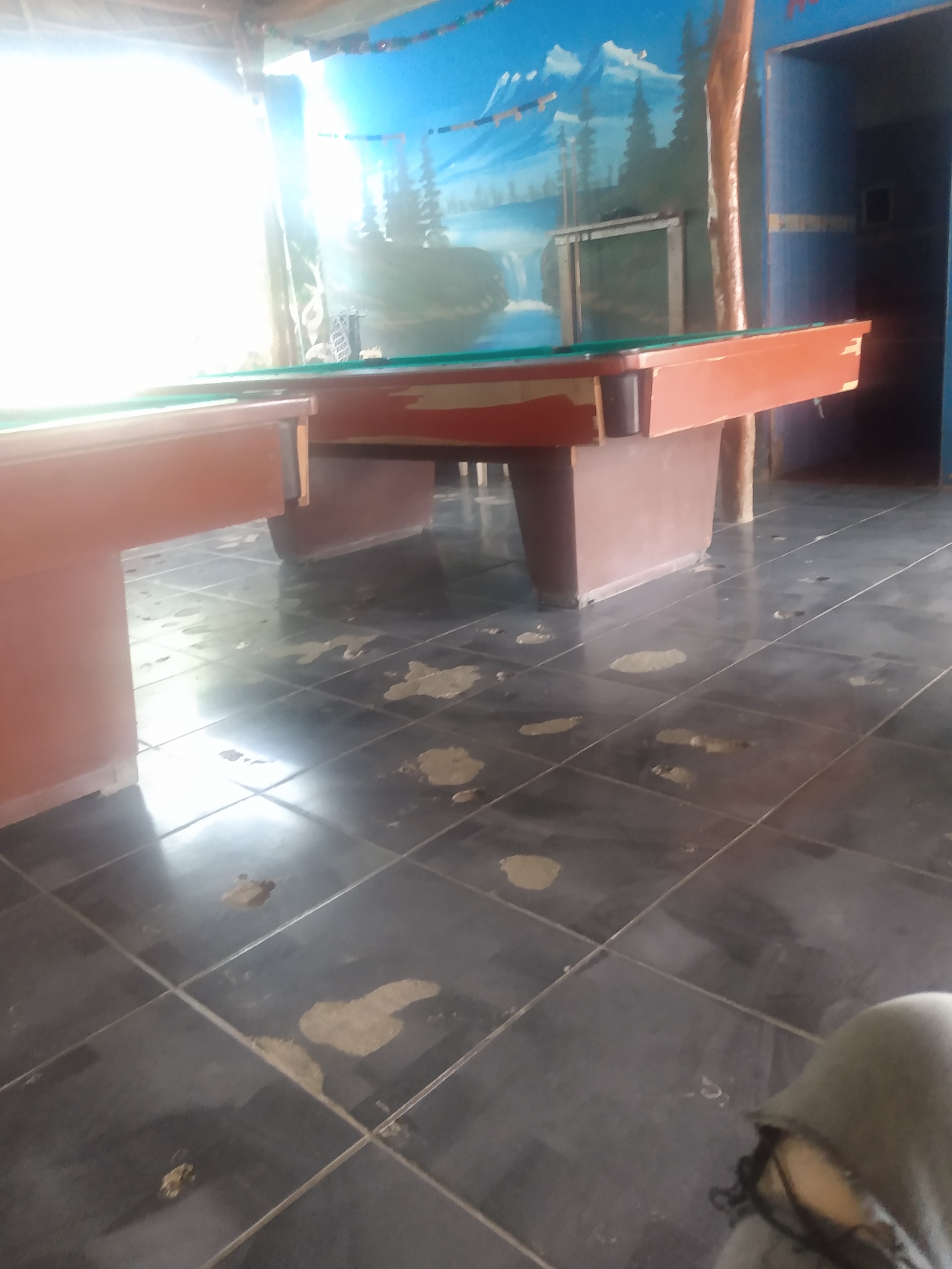 Restaurant Bar Pedro´s: El Paraiso image 9