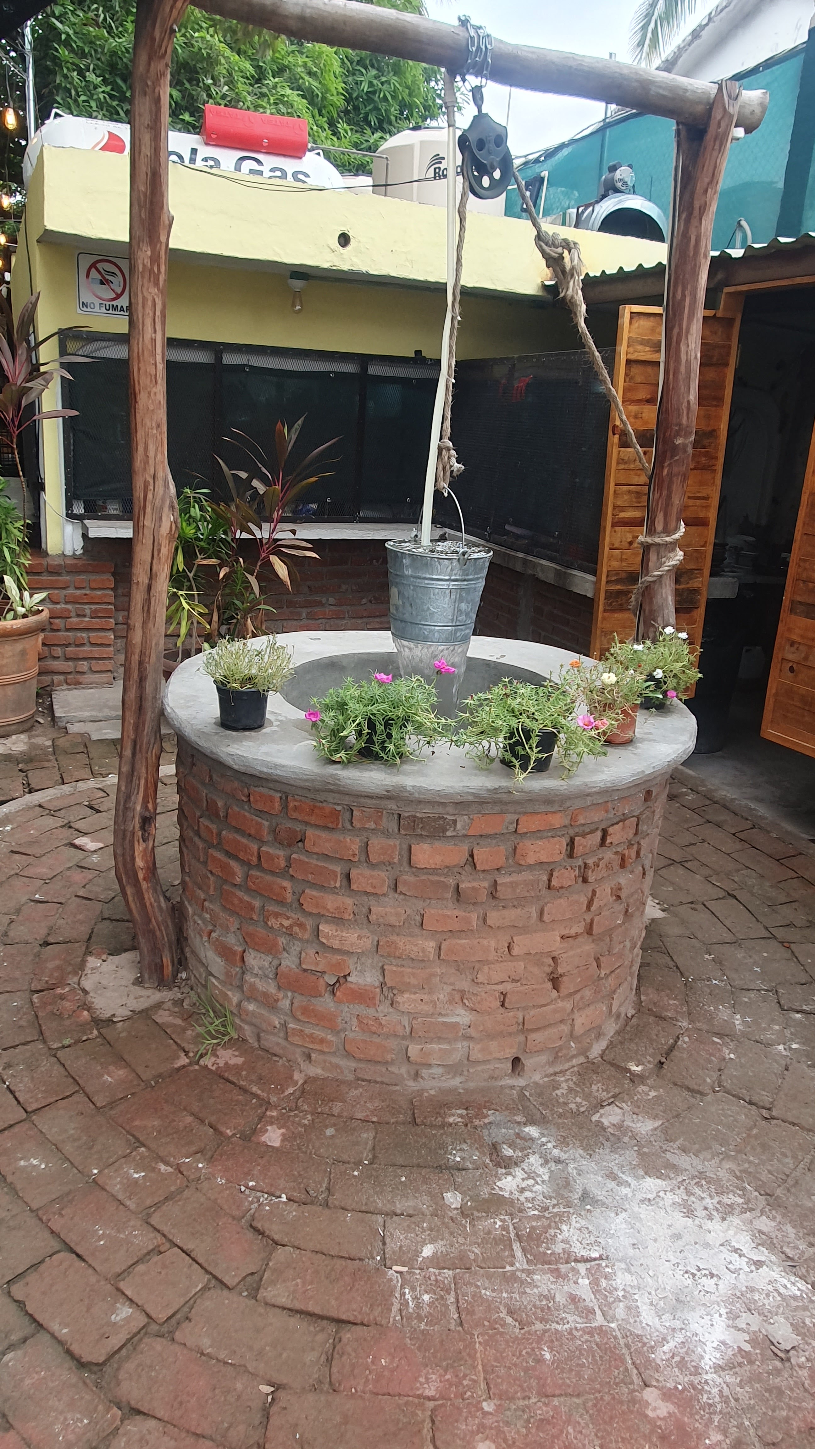 Los Arbolitos Restaurant Campirano image 8