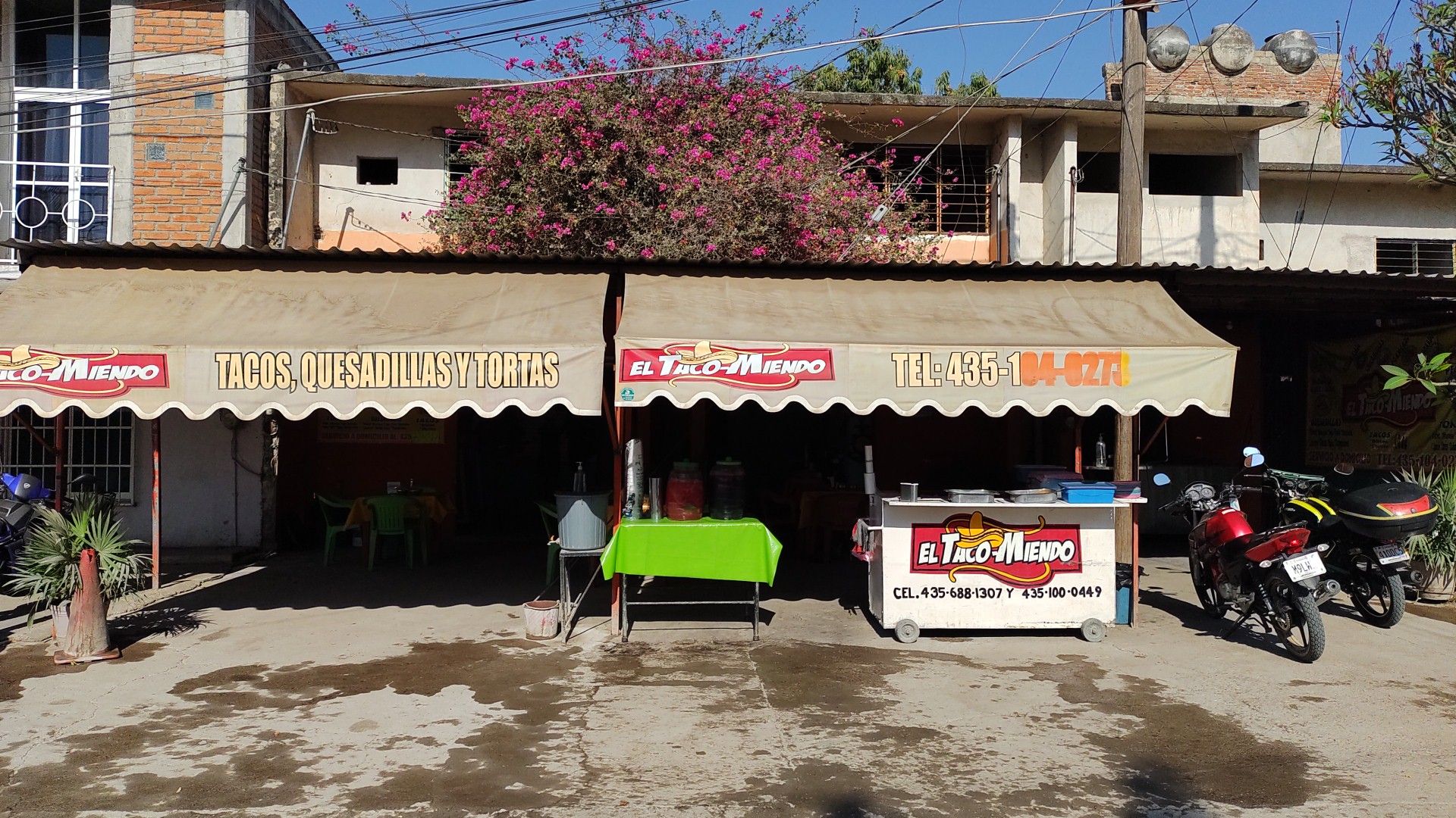 El Taco-Miendo image 1