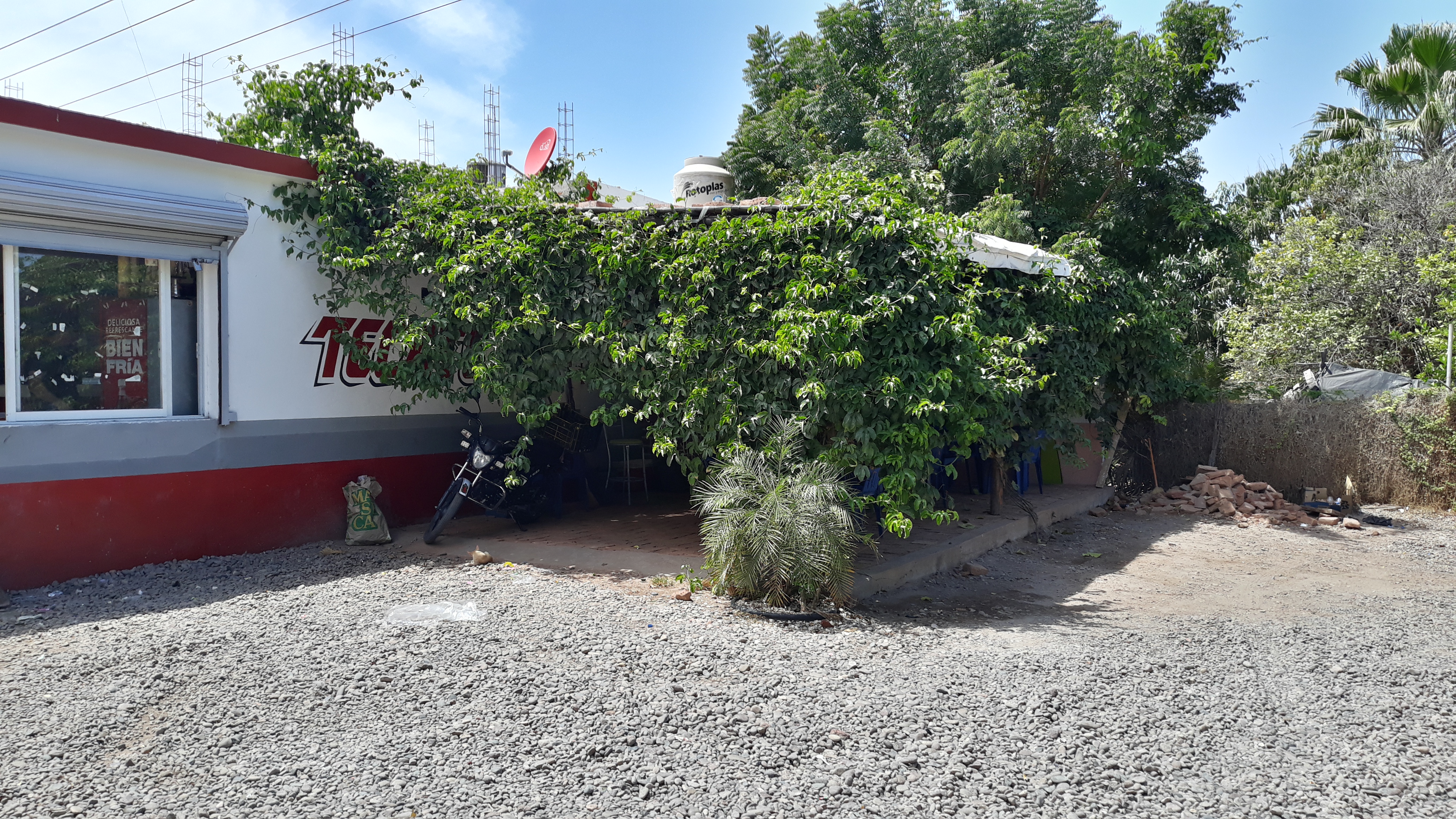 Mariscos La Palma image 4