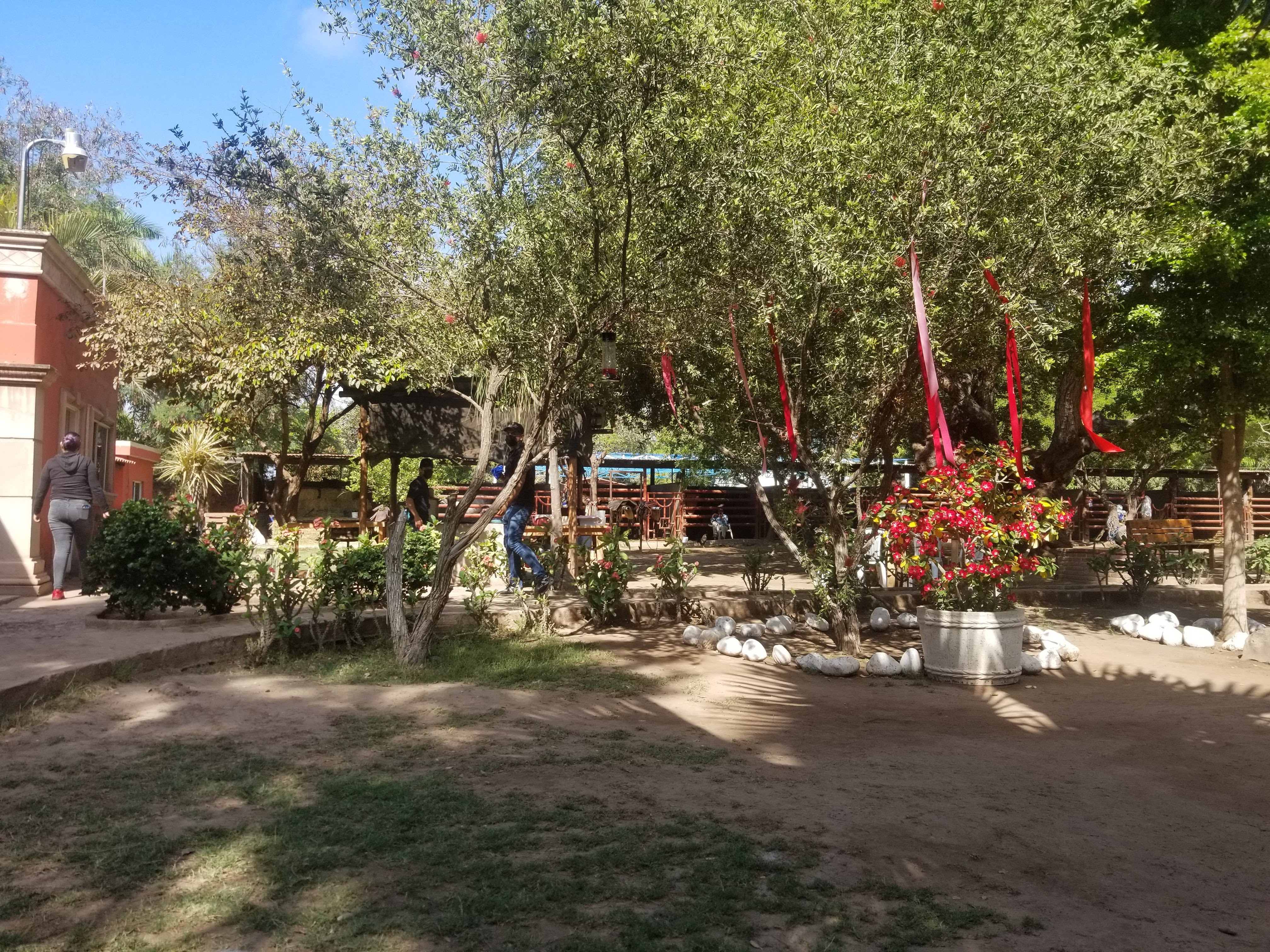 Rancho san Miguel image 5