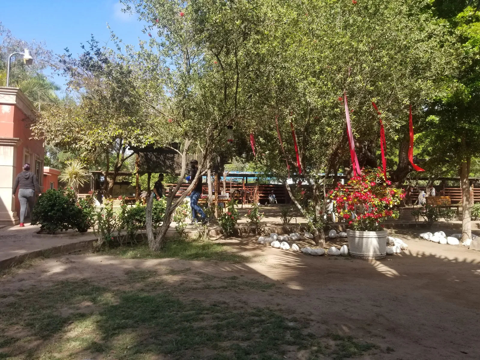 Rancho san Miguel image 5