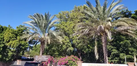 Rancho san Miguel image 8