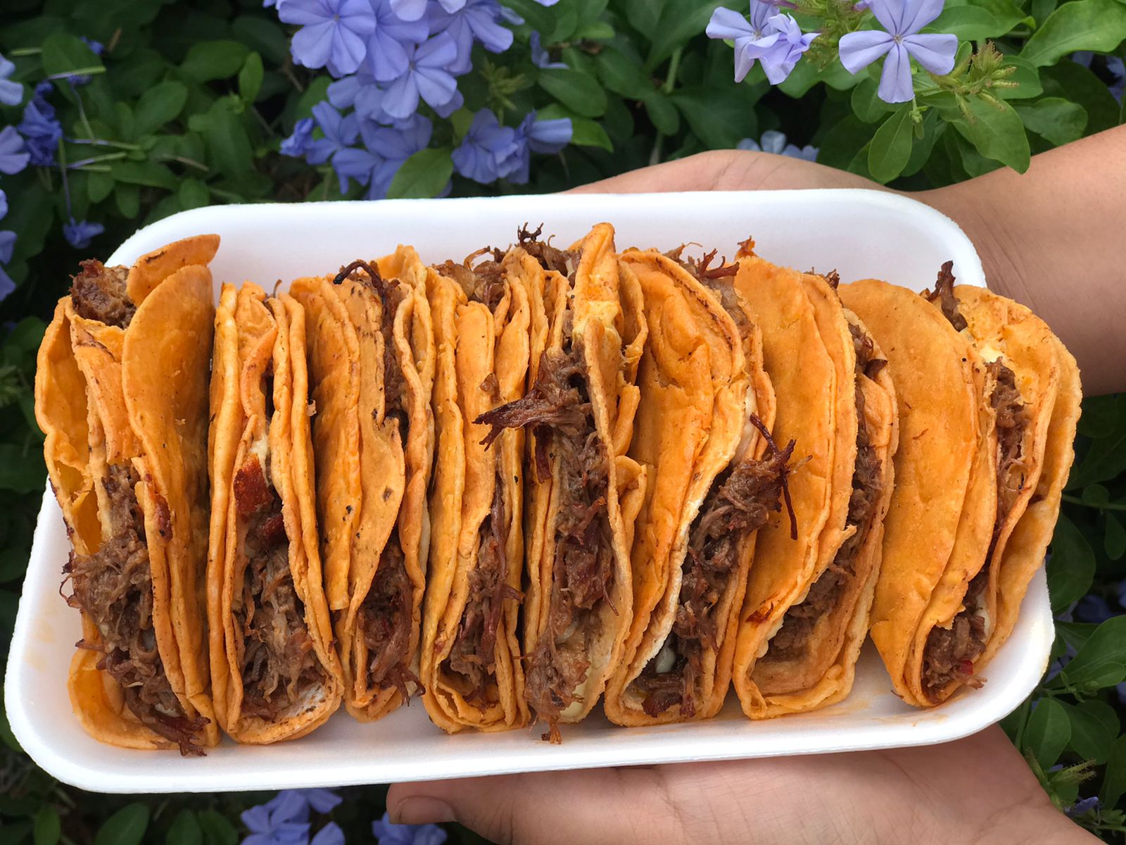 Birriería El Provechito image 3