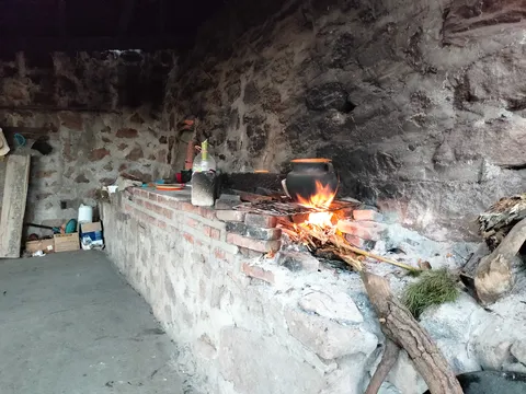 Pulques El Pimienta image 1