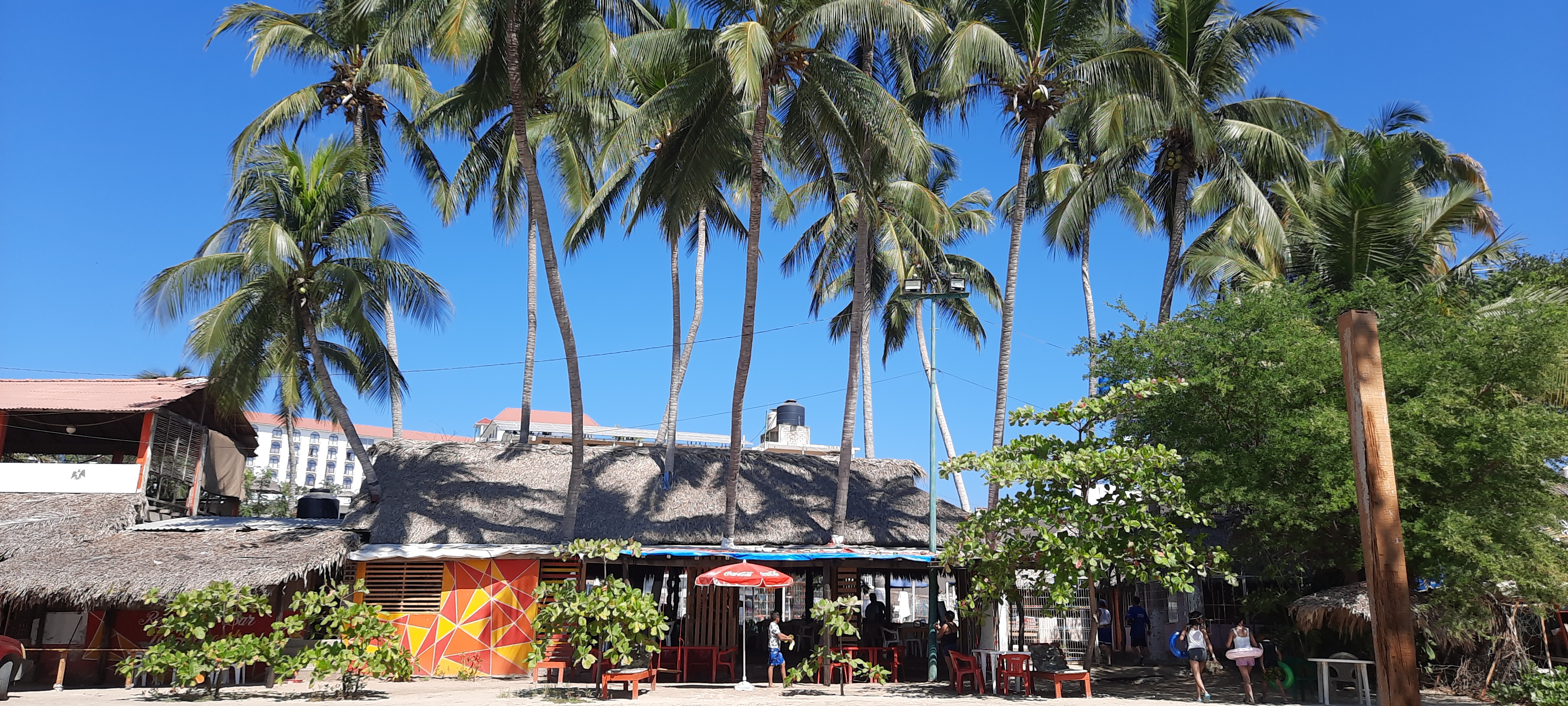 Restaurant-Bar “Los Almendros” image 5
