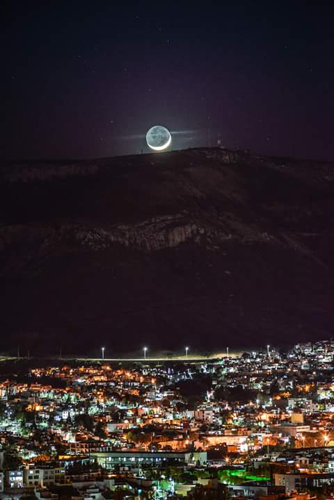 China Panda Restaurante image 6