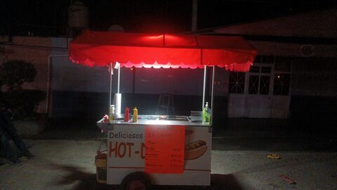 Hochos "el güero" image 1