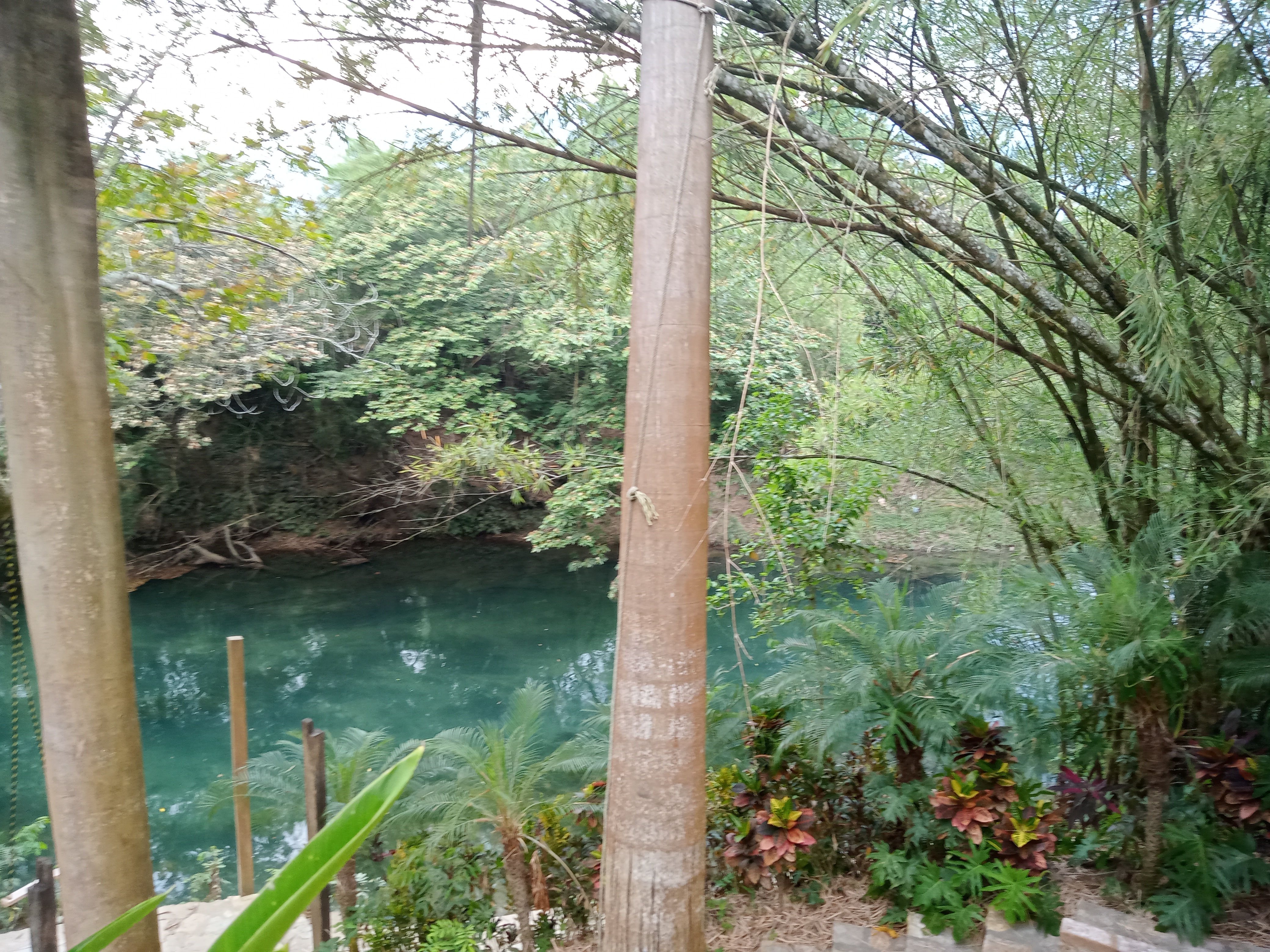 Restaurant De Mariscos Peces vivos image 7