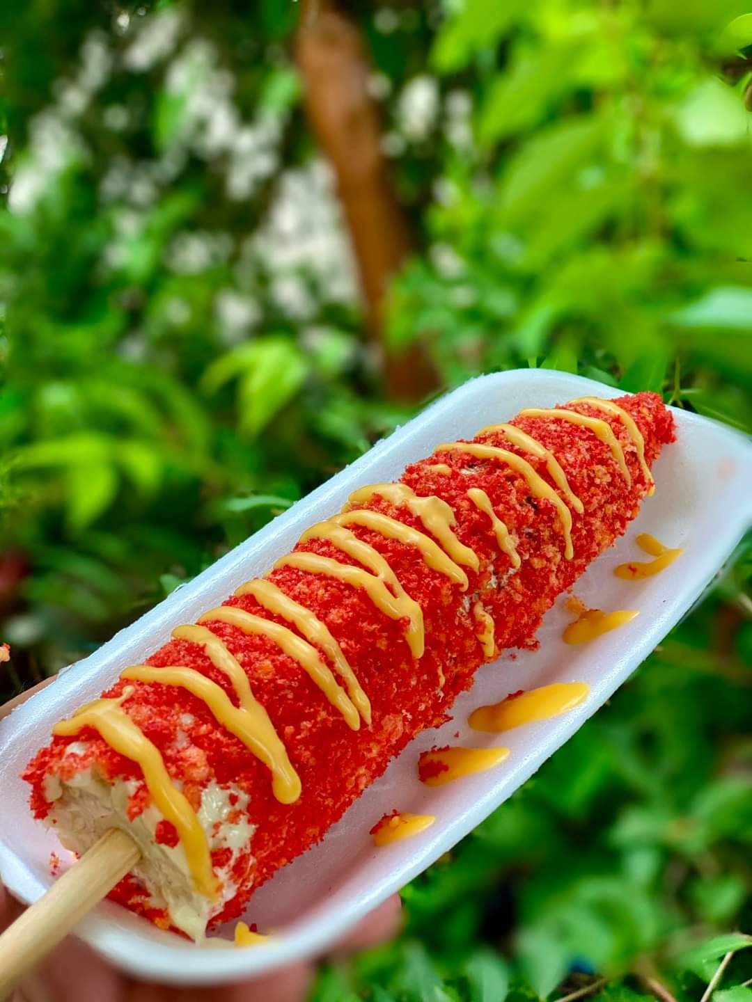 Elotes Y Raspados "El Michi-to". image 5