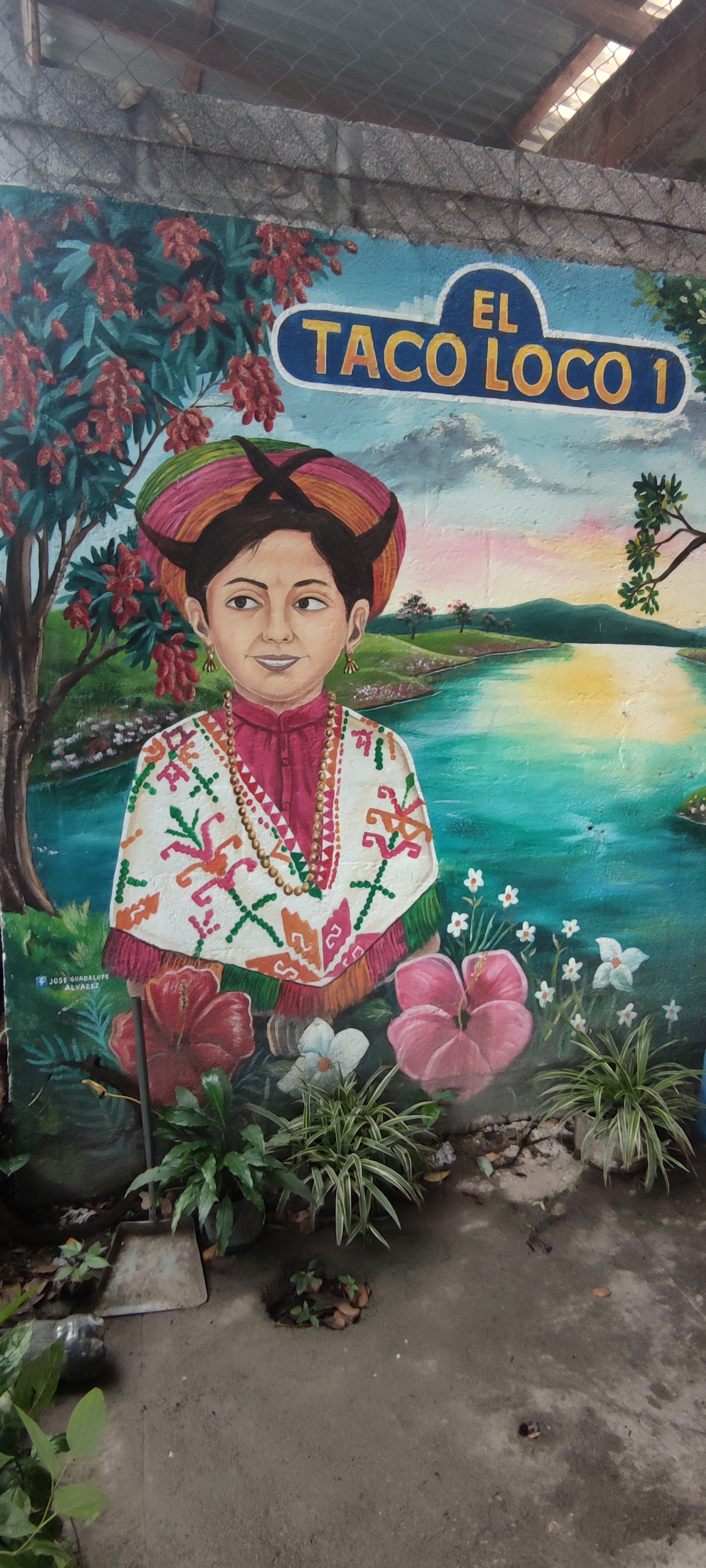 taco loco buffet 1 image 9