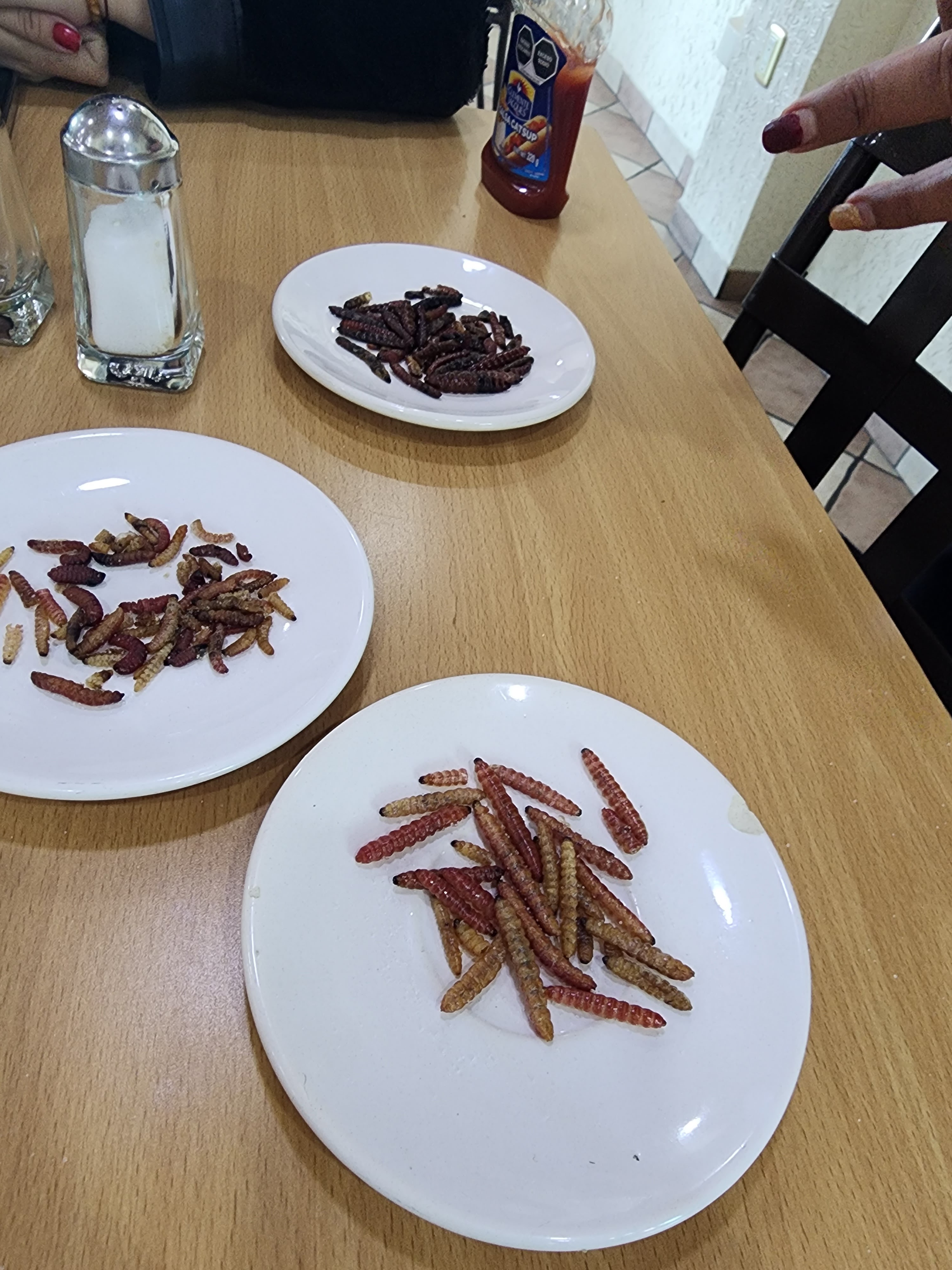 Las Delicias del Maguey image 6