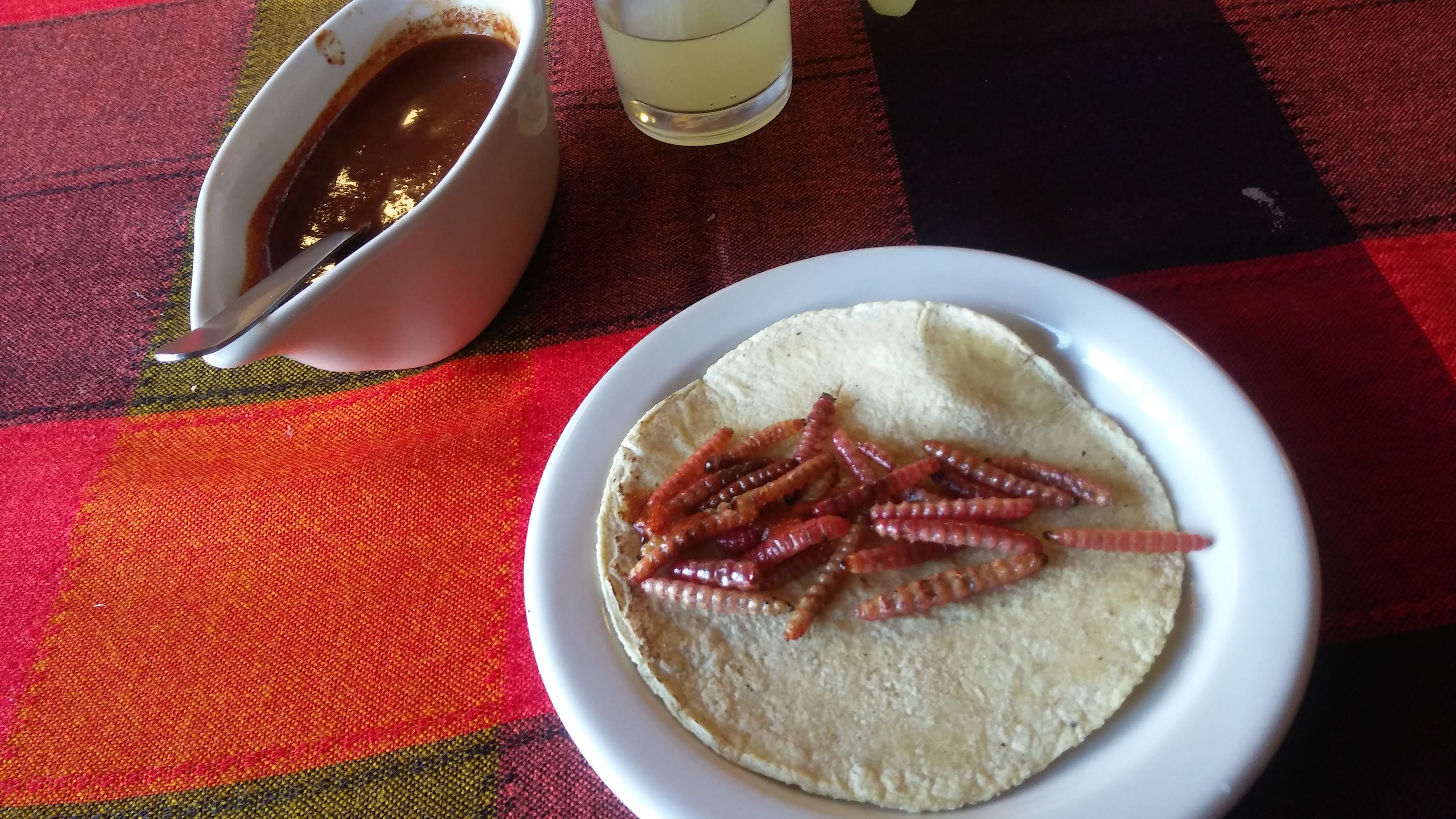 Las Delicias del Maguey image 9