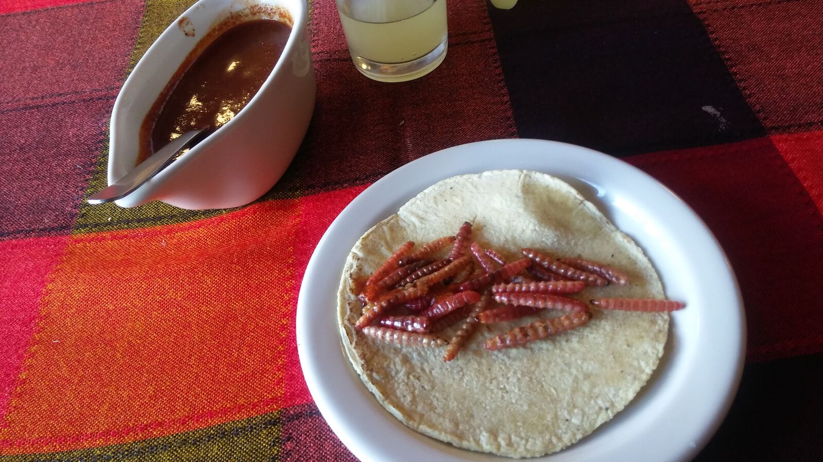 Las Delicias del Maguey image 9