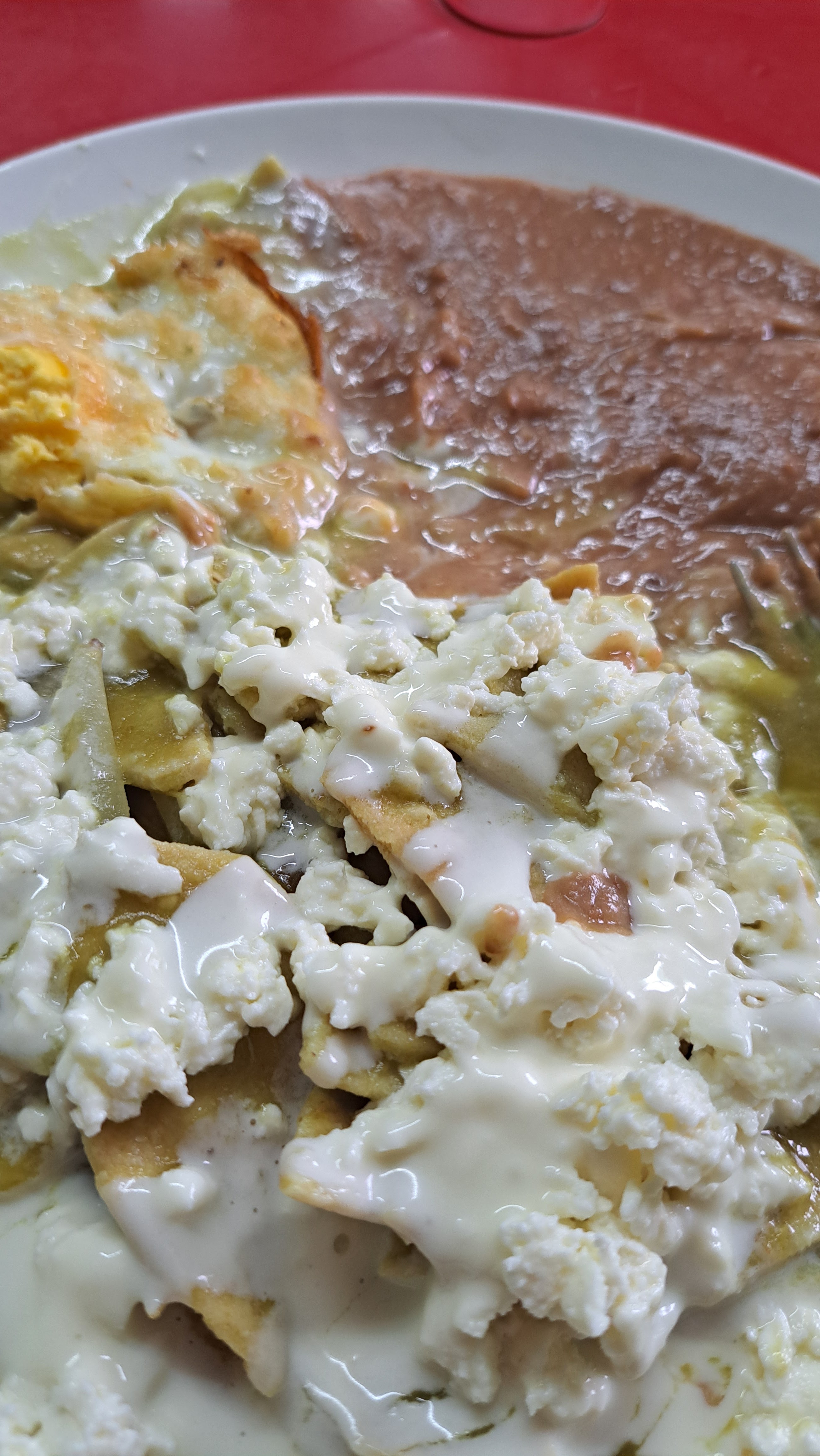 Martin & Conchita image 5