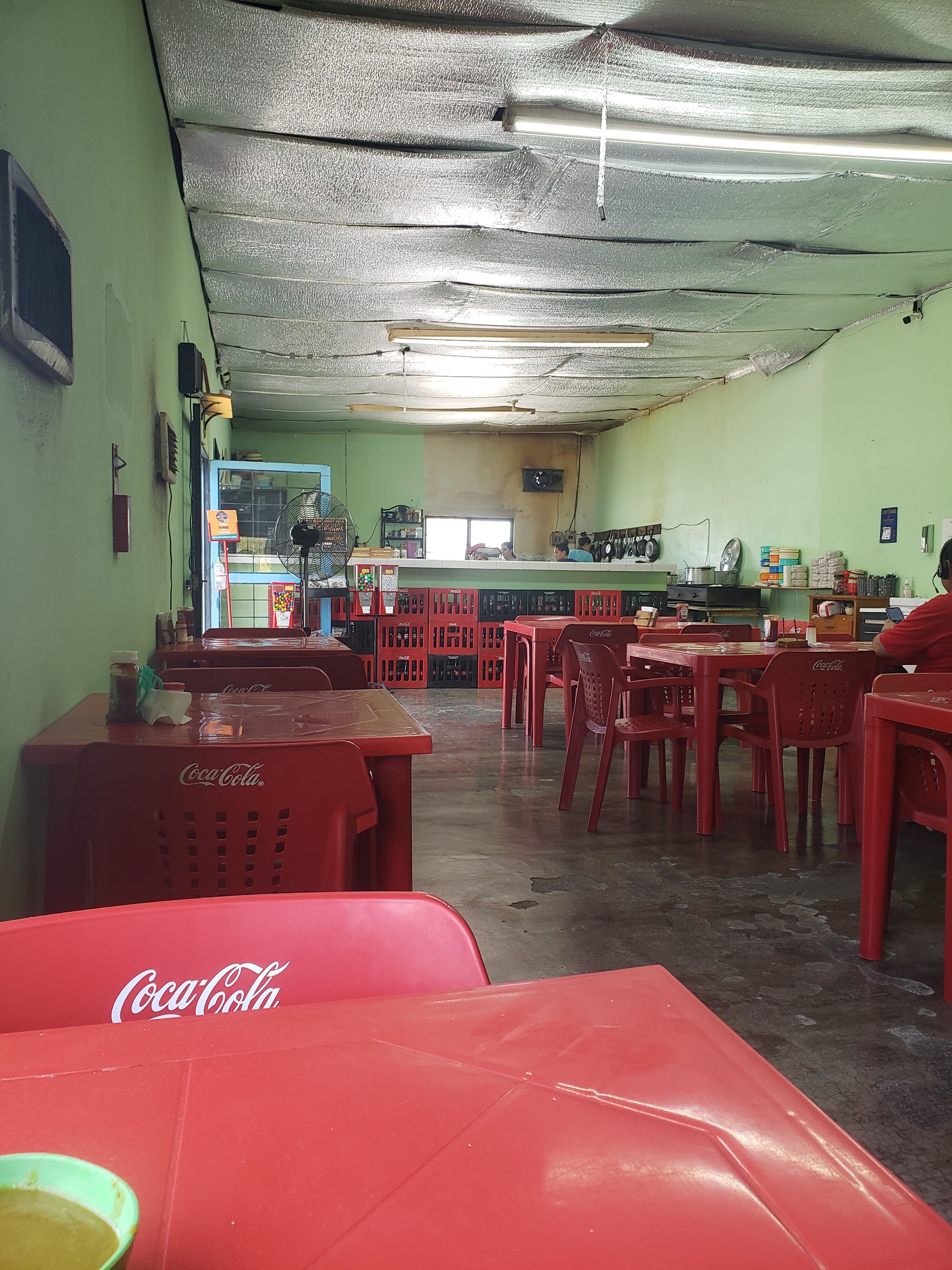 Martin & Conchita image 6