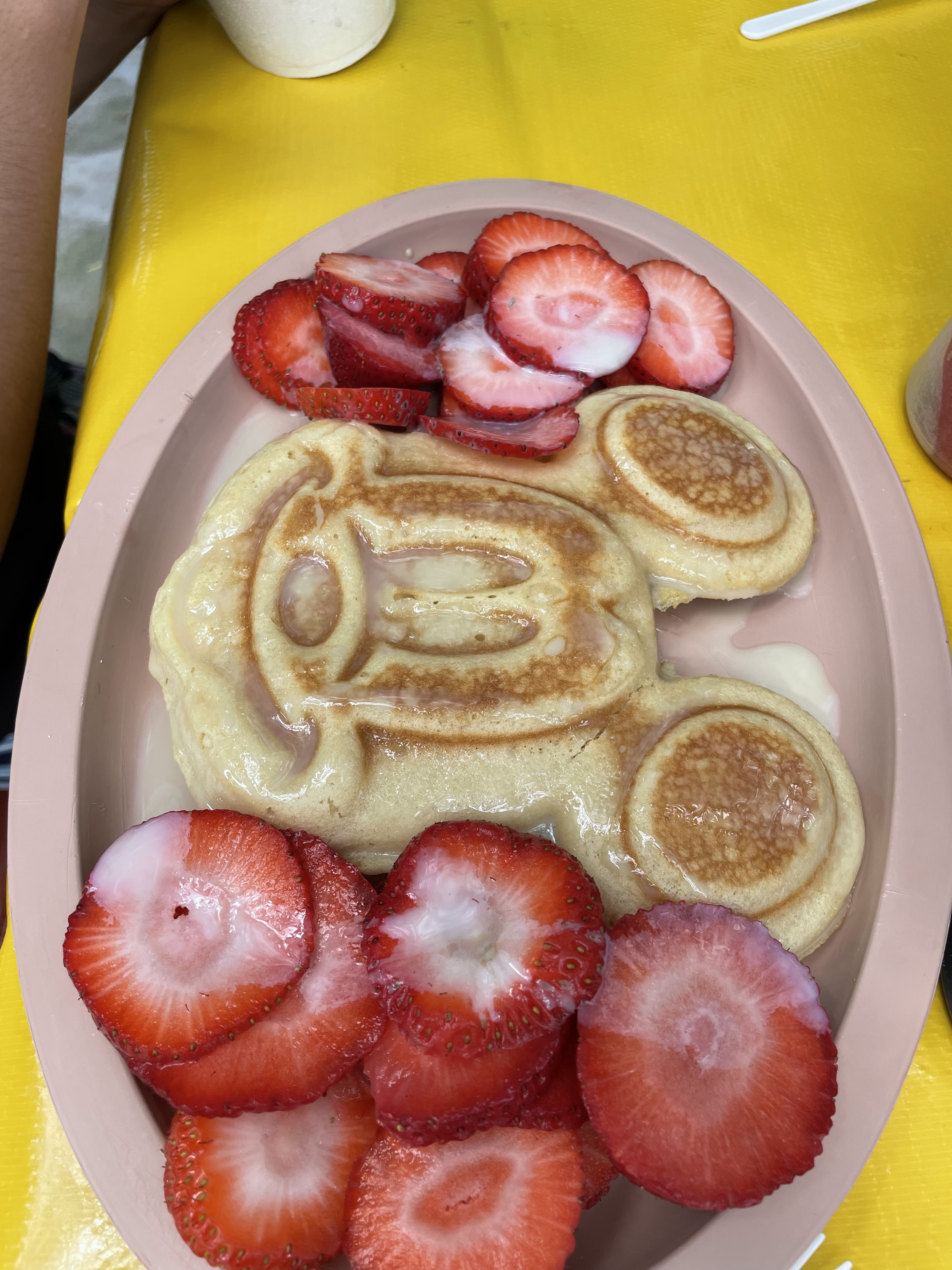 Campero - Almuerzo al aire libre image 6