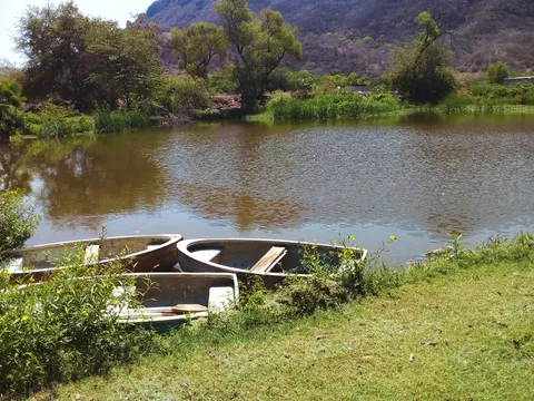 Las charcas image 2
