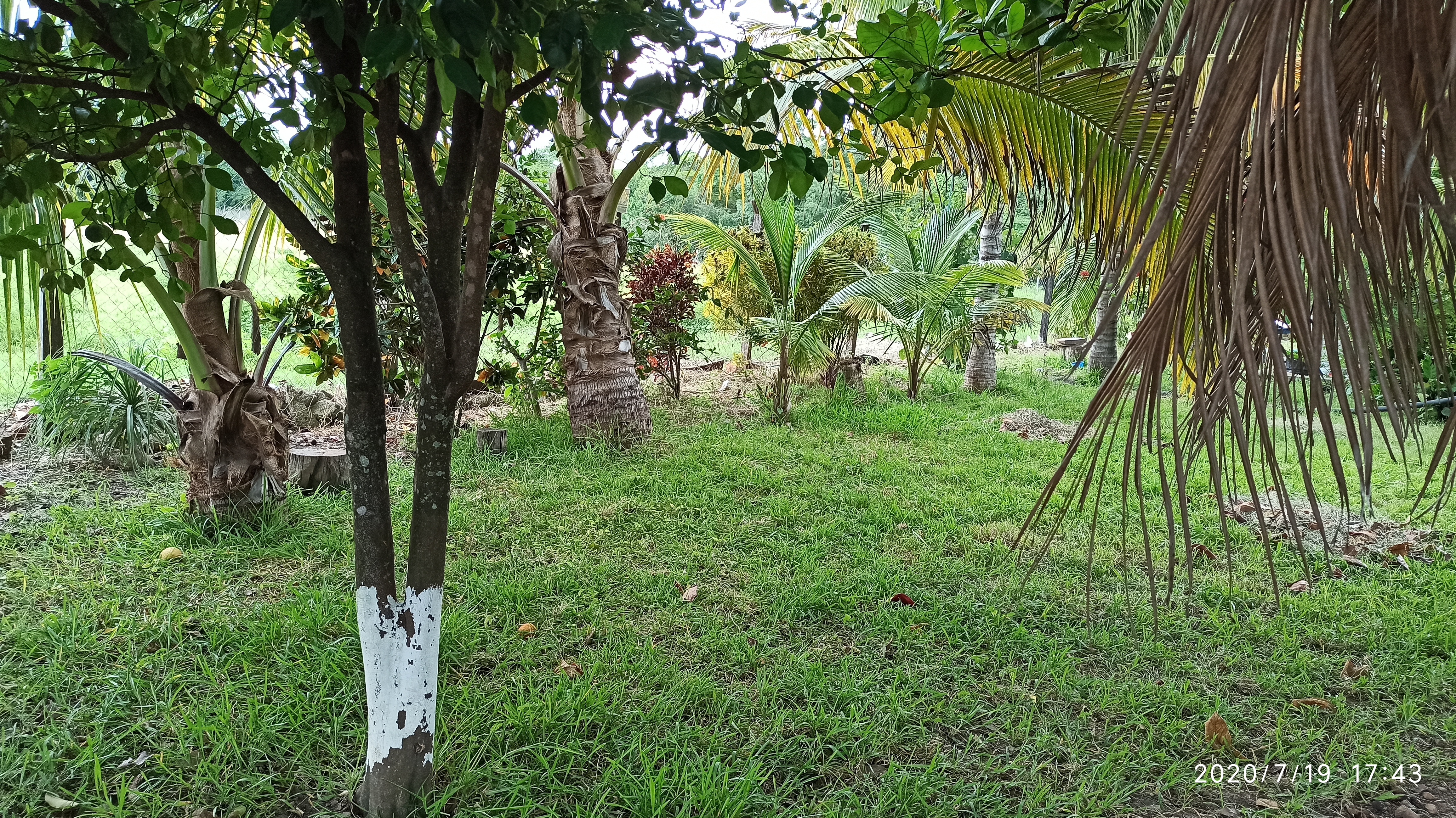 Rancho "Santa Cruz" image 4