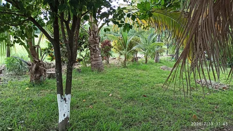 Rancho "Santa Cruz" image 4