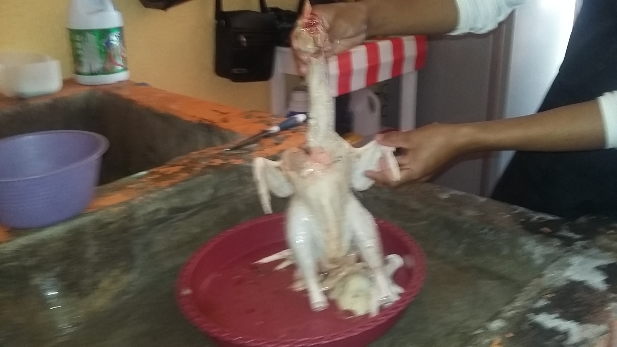 pollo asado a la piña image 3