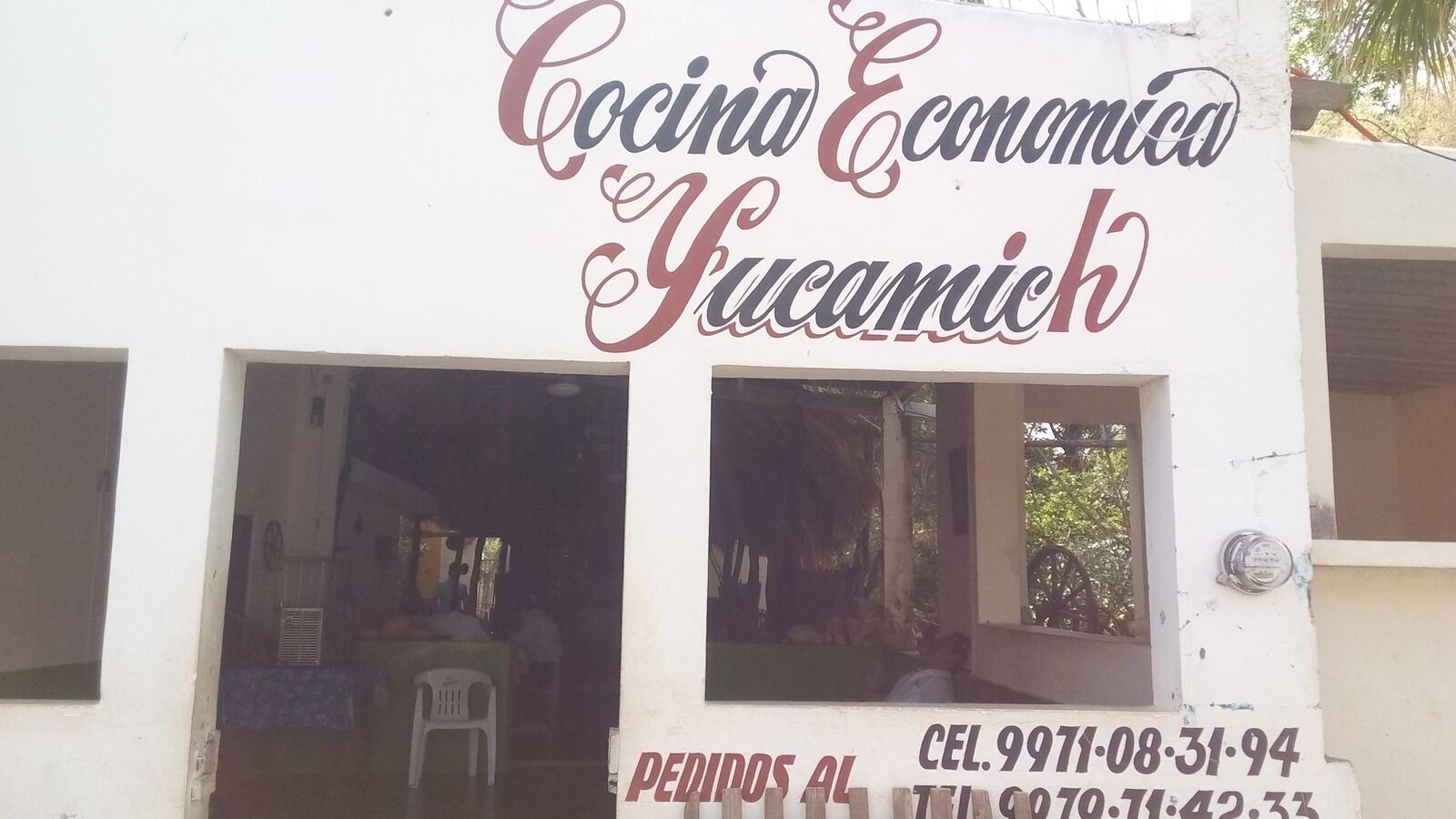 yucamich image 3