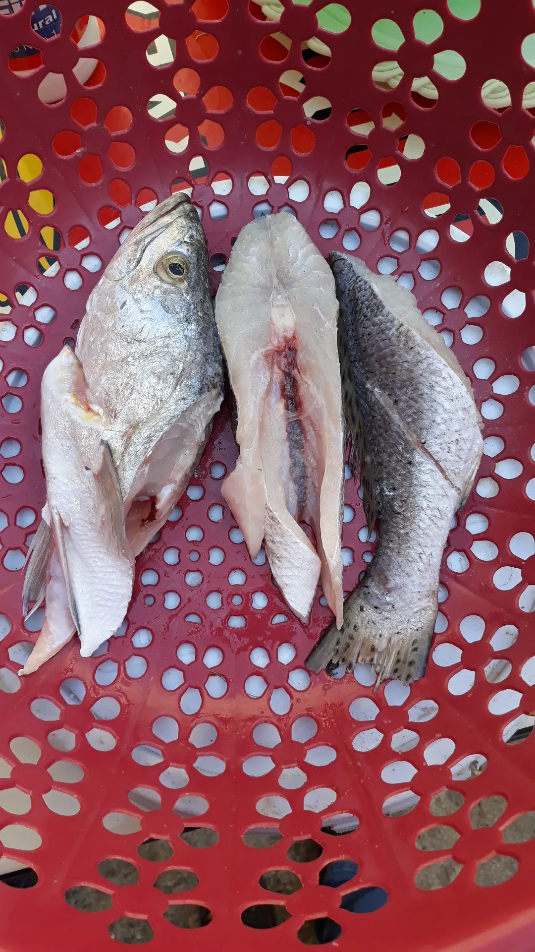 Pescaderia Arleth image 3