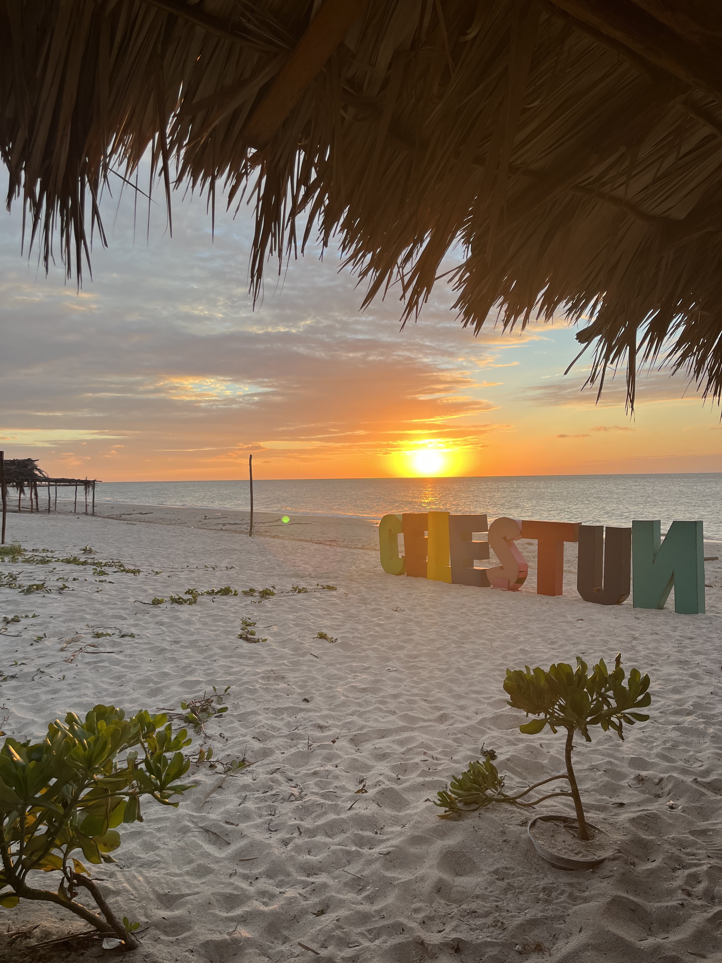 Restaurante Boquinetes Celestún image 6