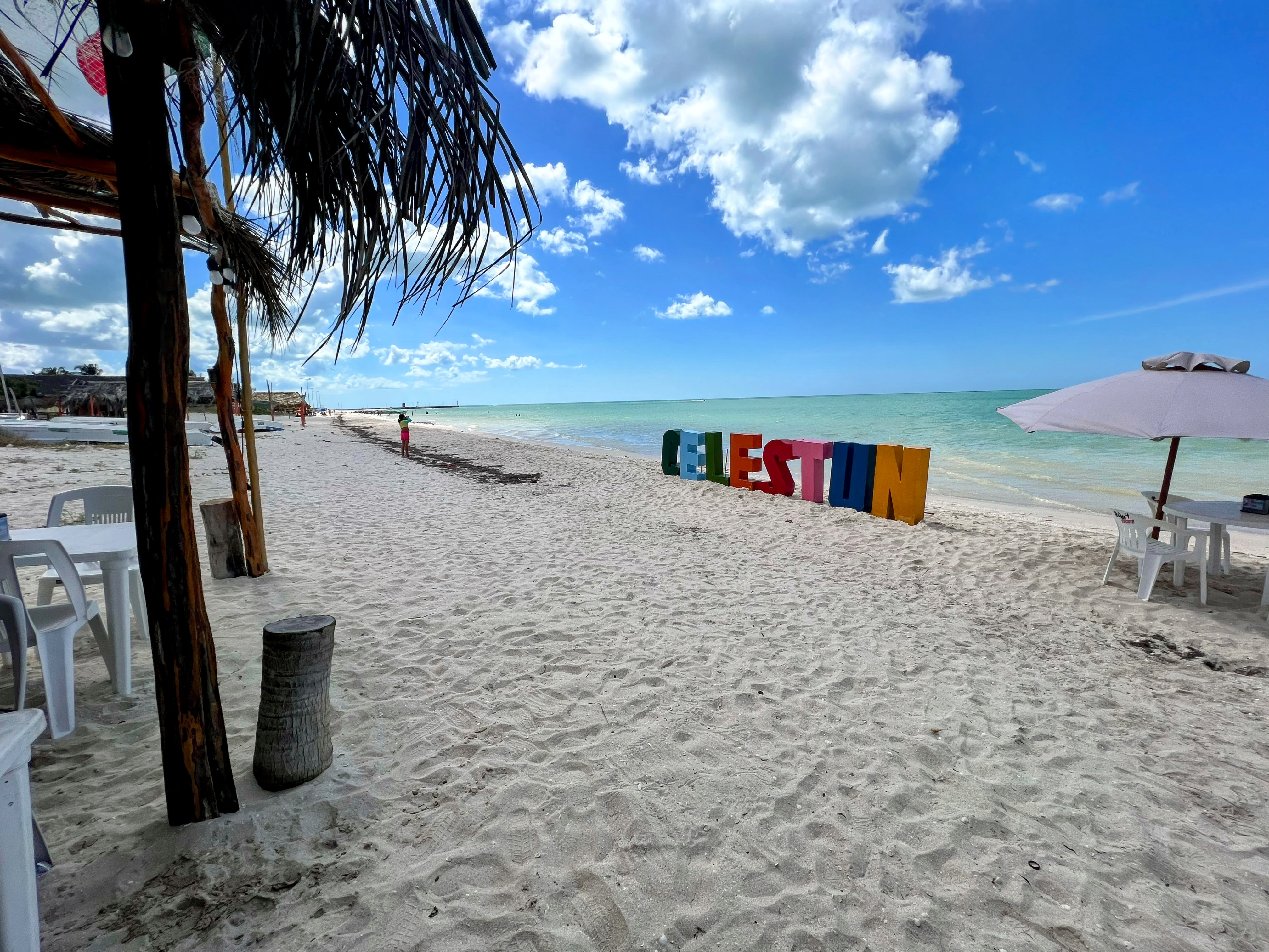 Restaurante Boquinetes Celestún image 7