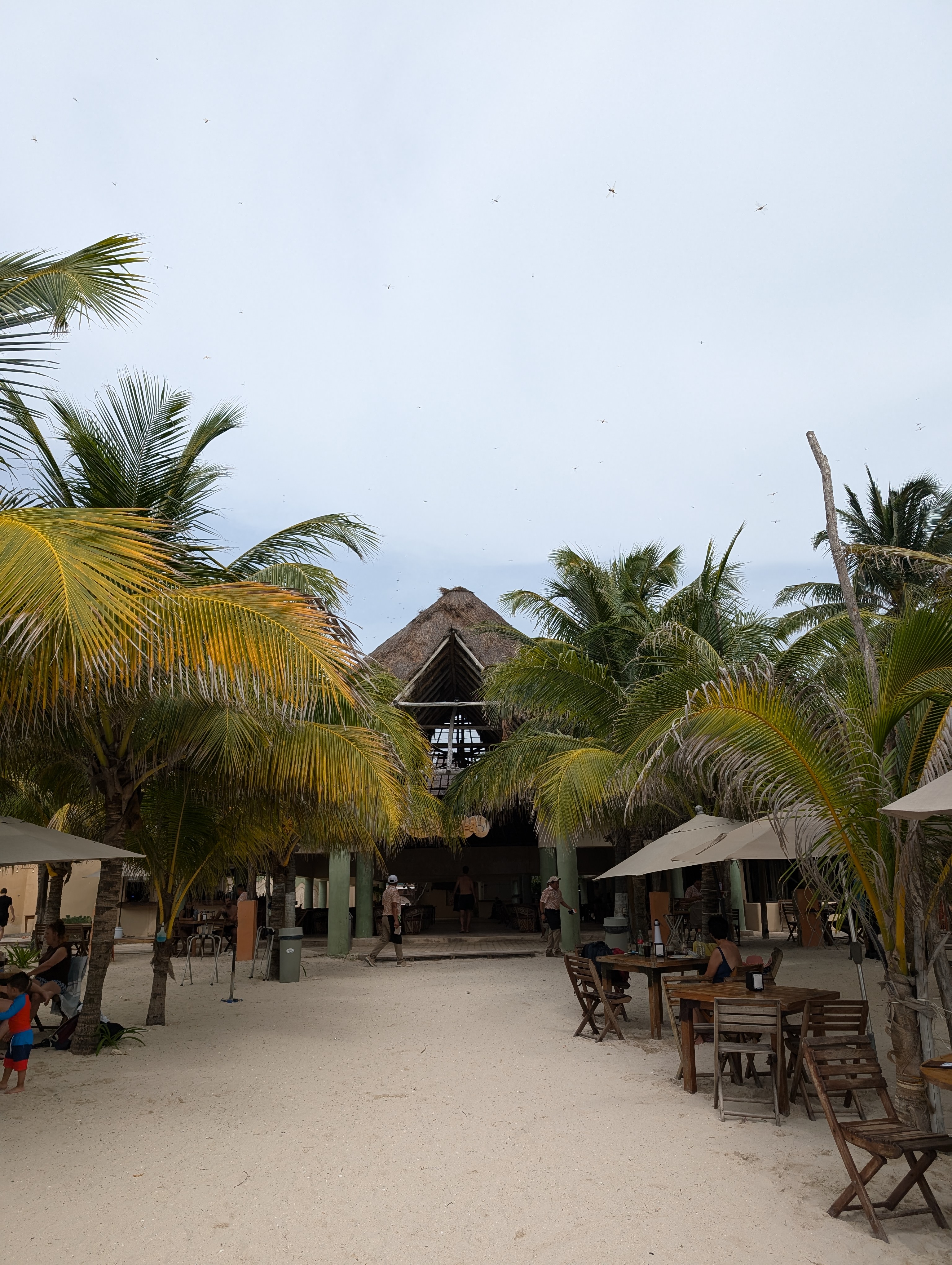 La Palapa Restaurante & Snack Bar image 4