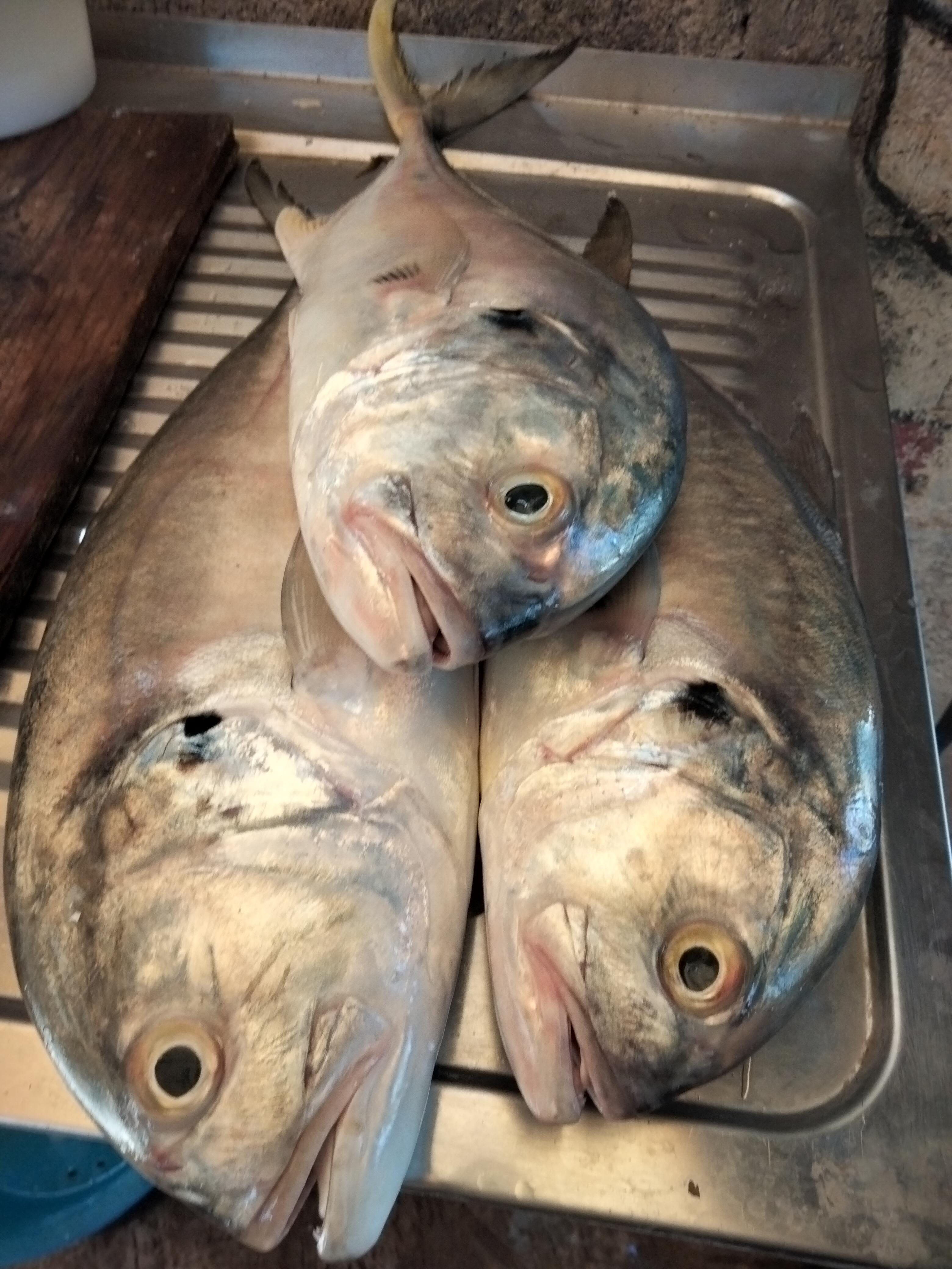 Pescadería y coctelería el Wero" image 6