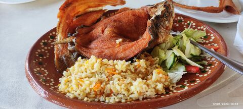 Granja y Restaurante "El Copal" image 1