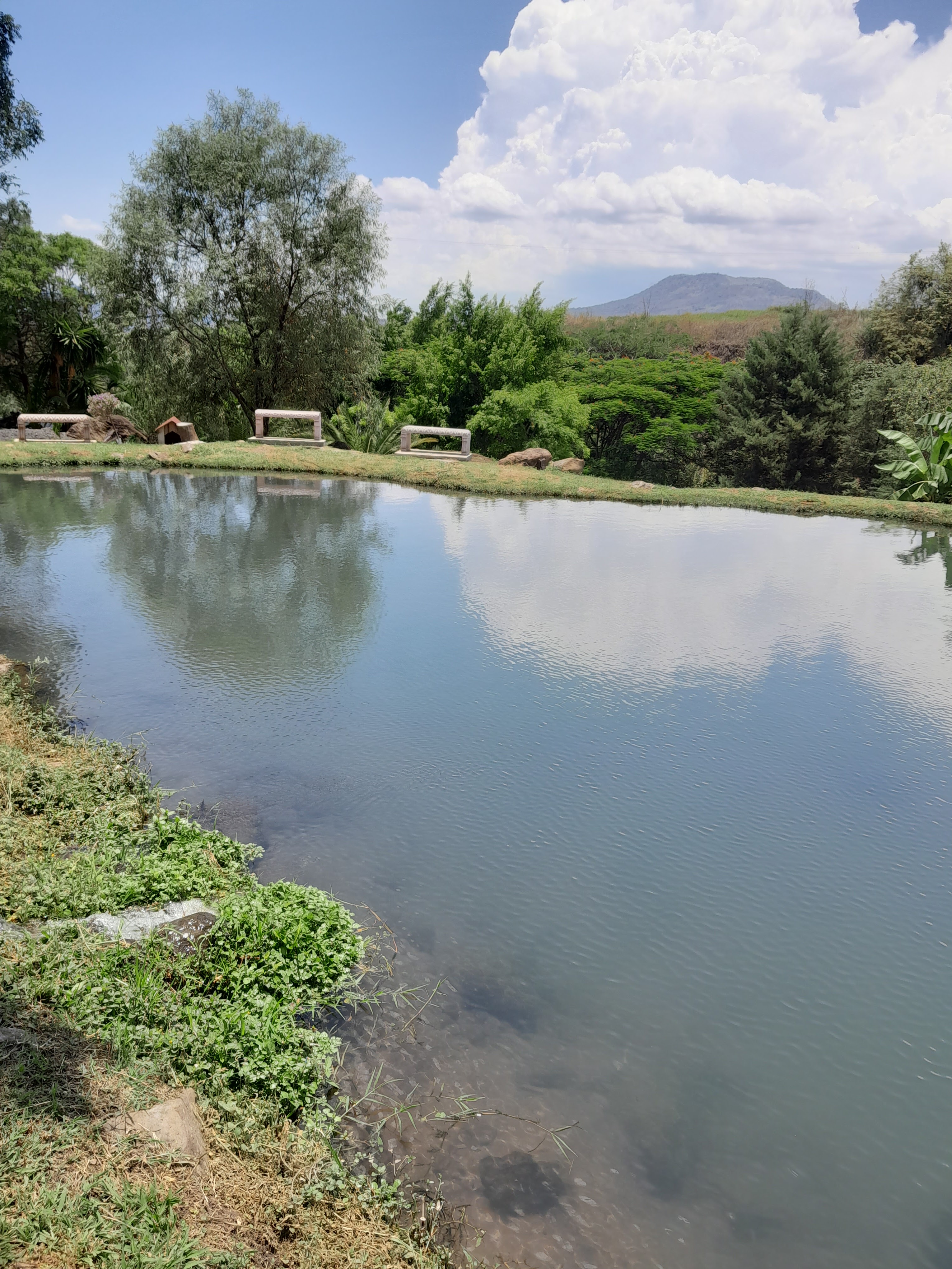 Granja y Restaurante "El Copal" image 5