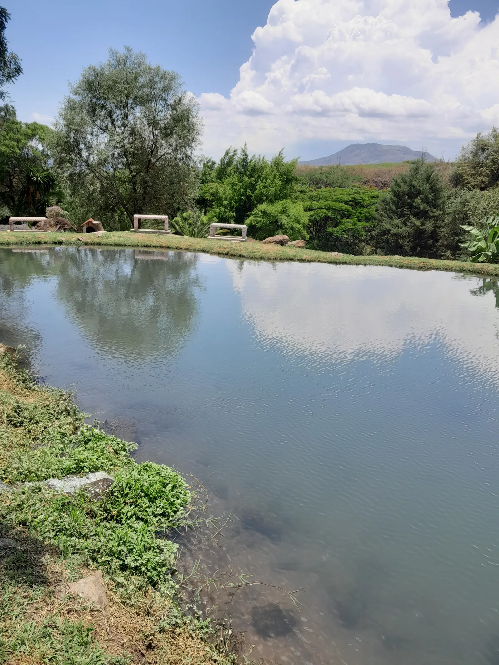 Granja y Restaurante "El Copal" image 5